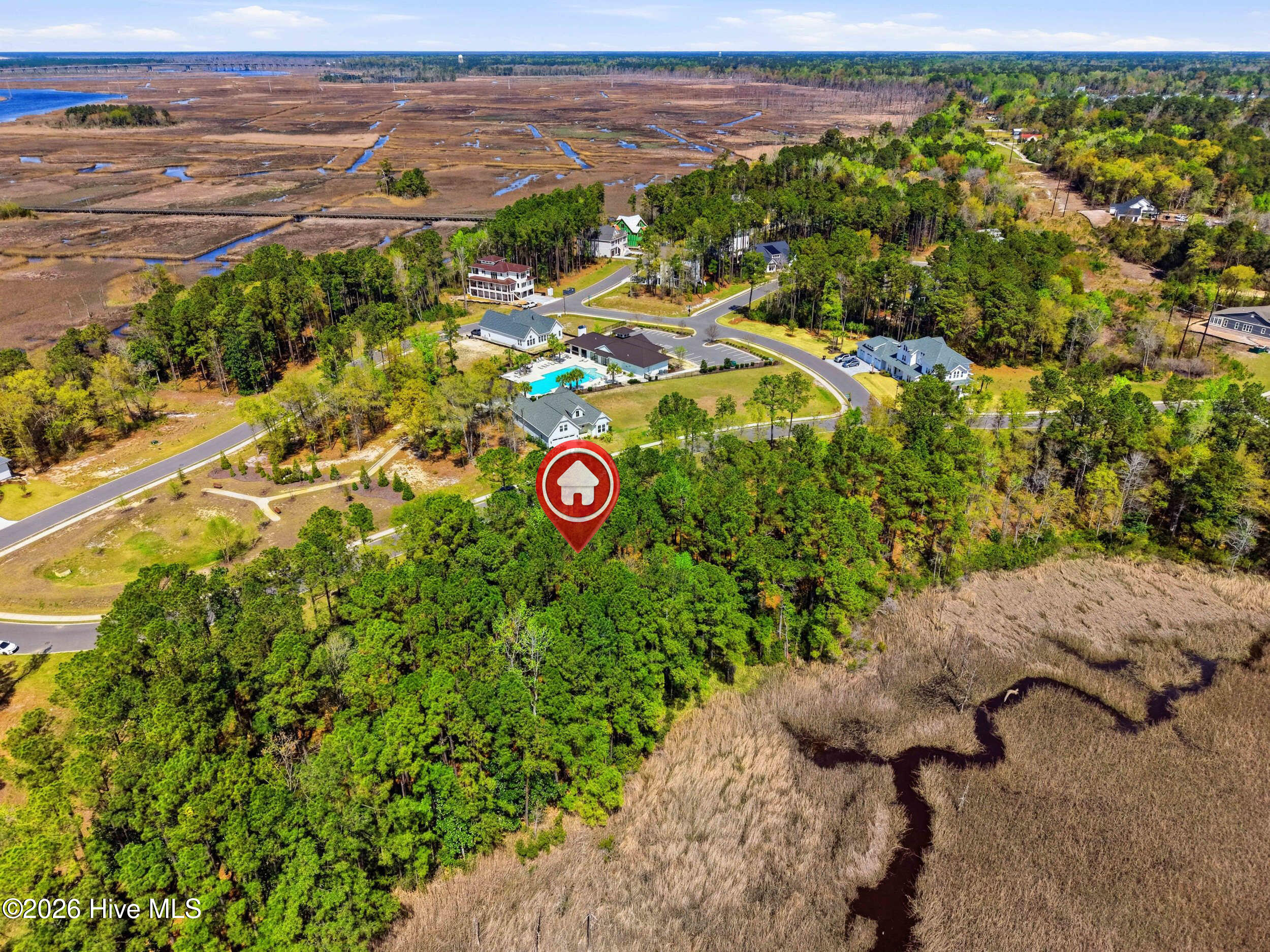 100562614 | Photo 15