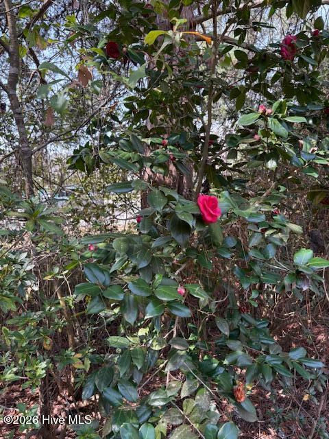 100553362 | Photo 42