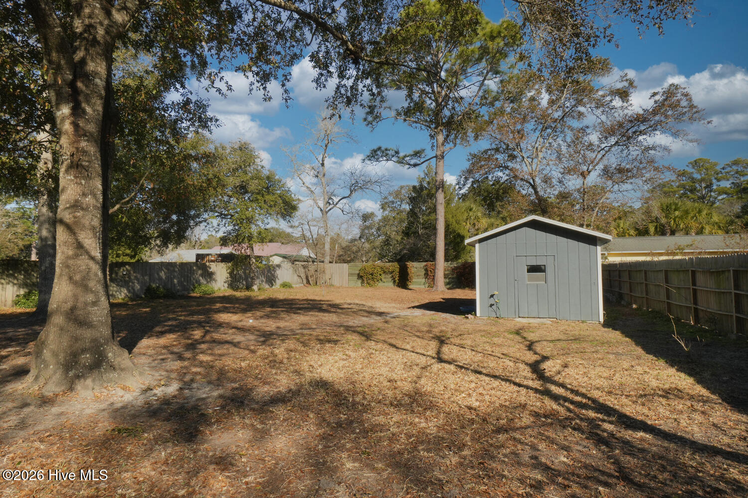 100546662 | Photo 20