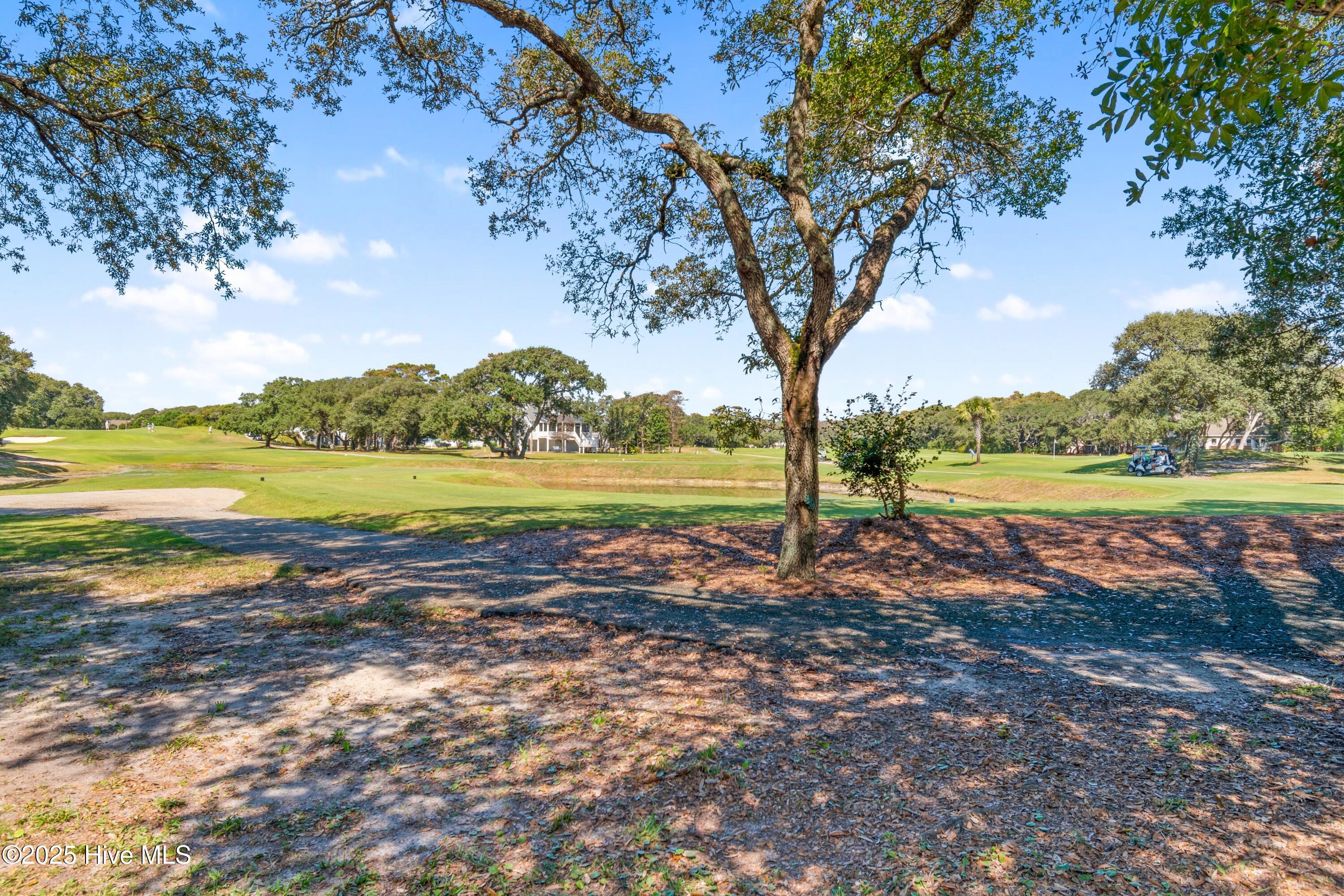 100533940 | Photo 51