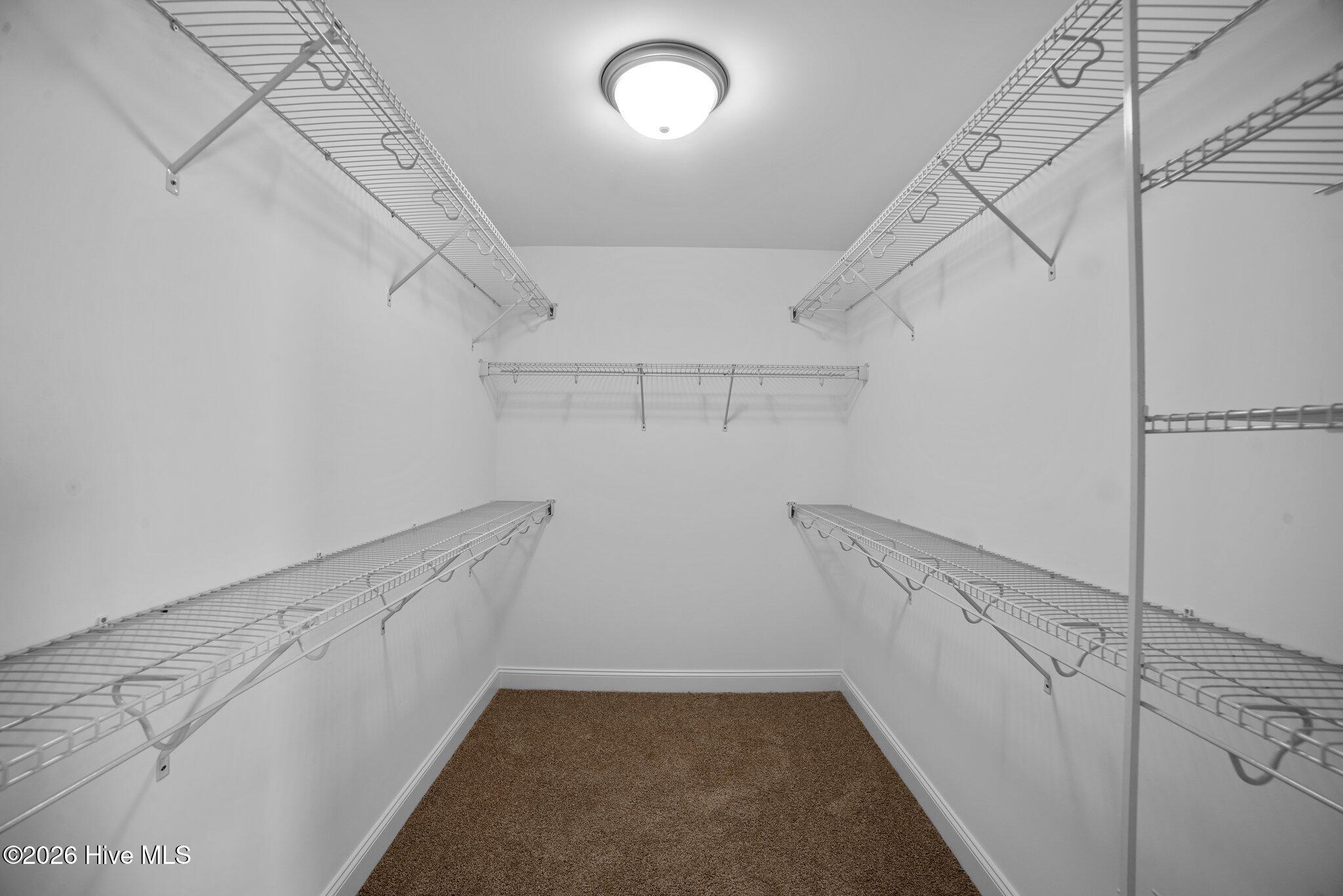 336 Gerbera Court, Greenville, NC, 27858