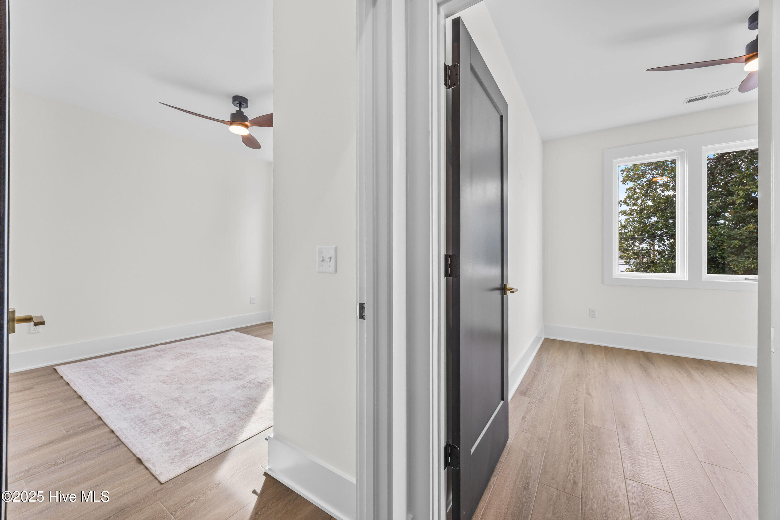 100557890 | Photo 33