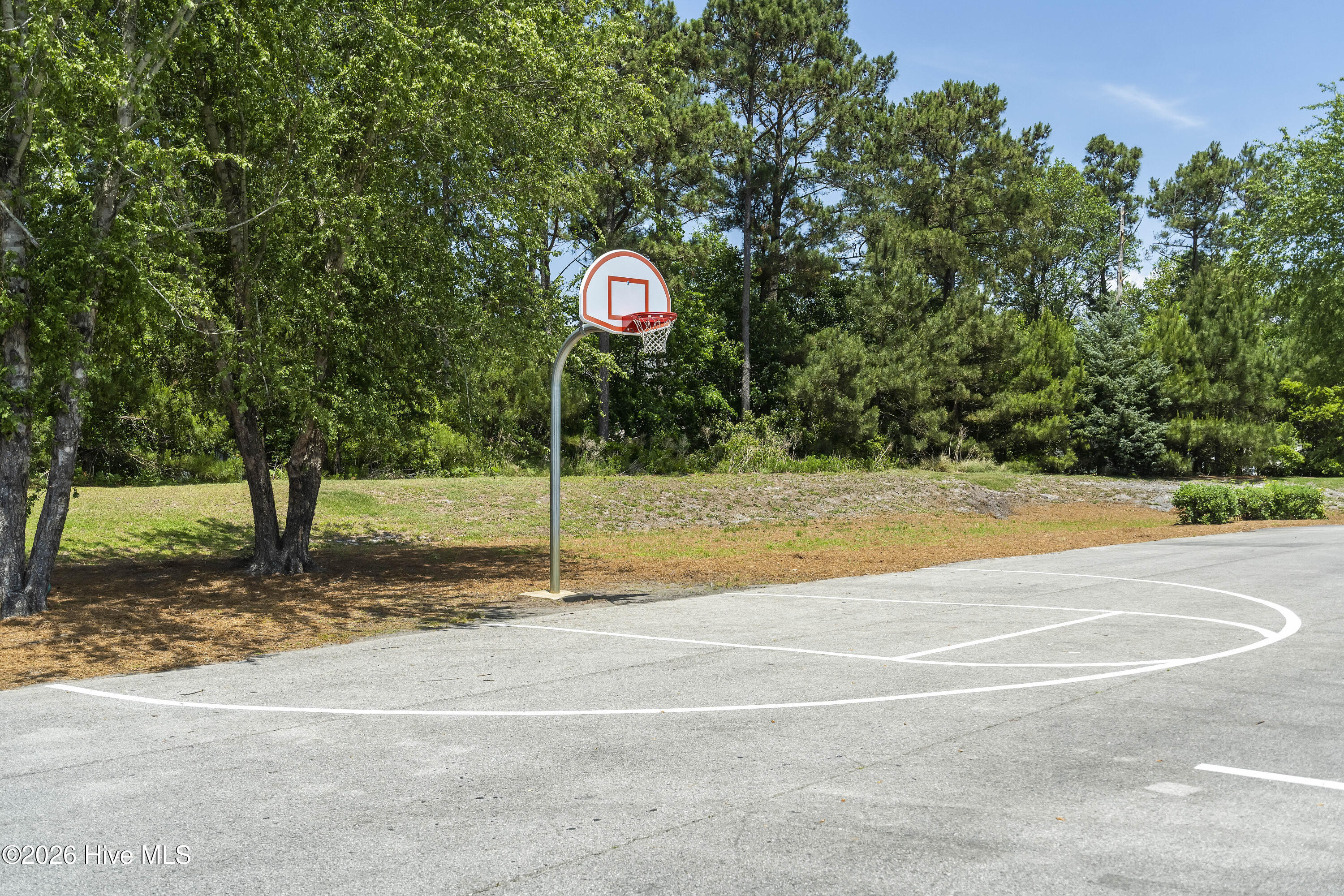 100562110 | Photo 111