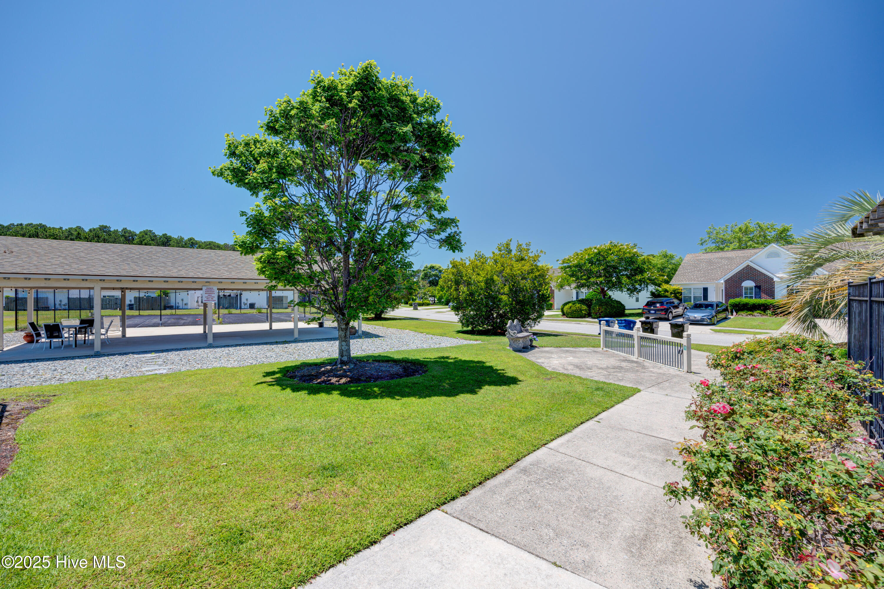 100541920 | Photo 48