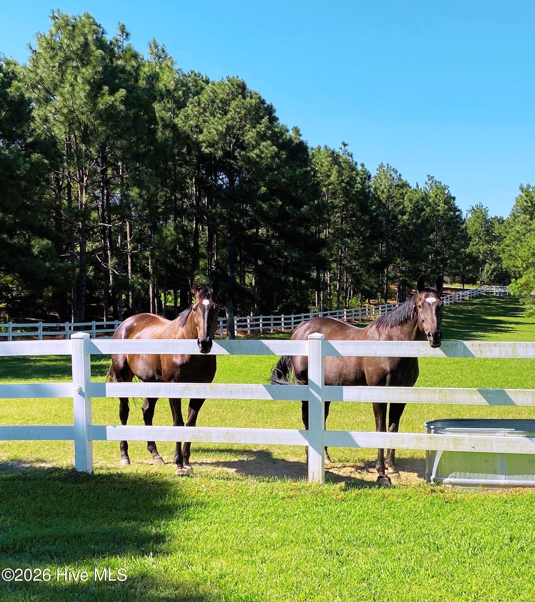 188 Shagbark Road, Seven Lakes, NC, 27376