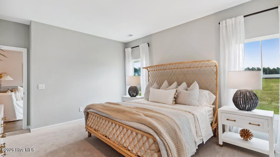 100555909 | Photo 11