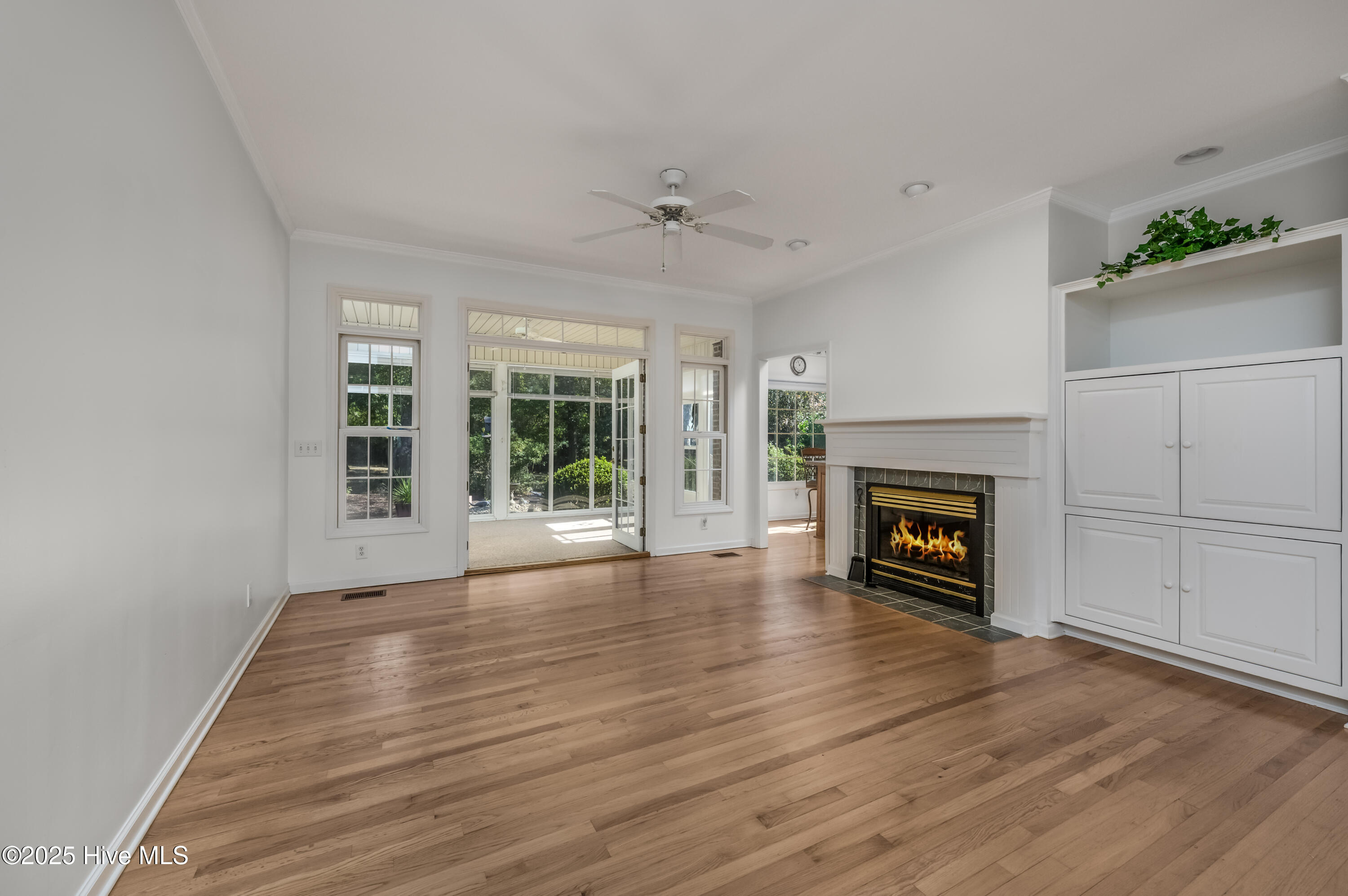 100541509 | Photo 13