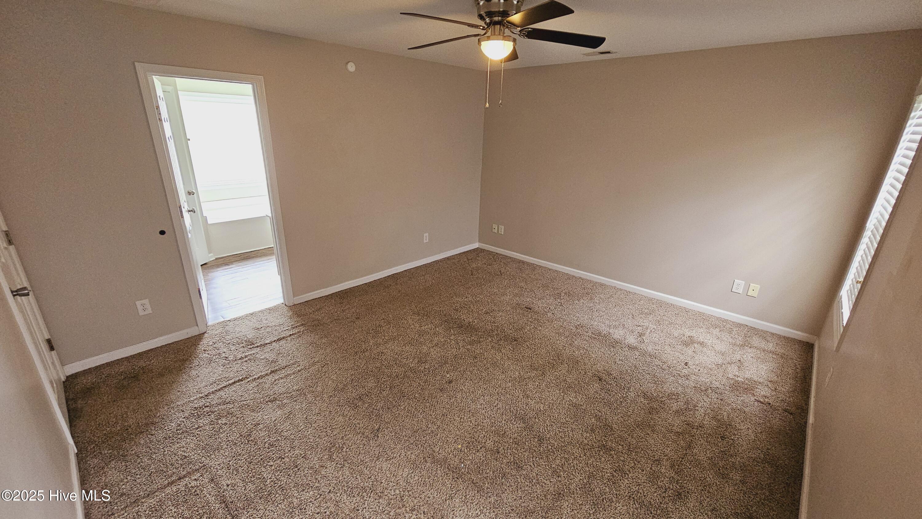 100565792 | Photo 14