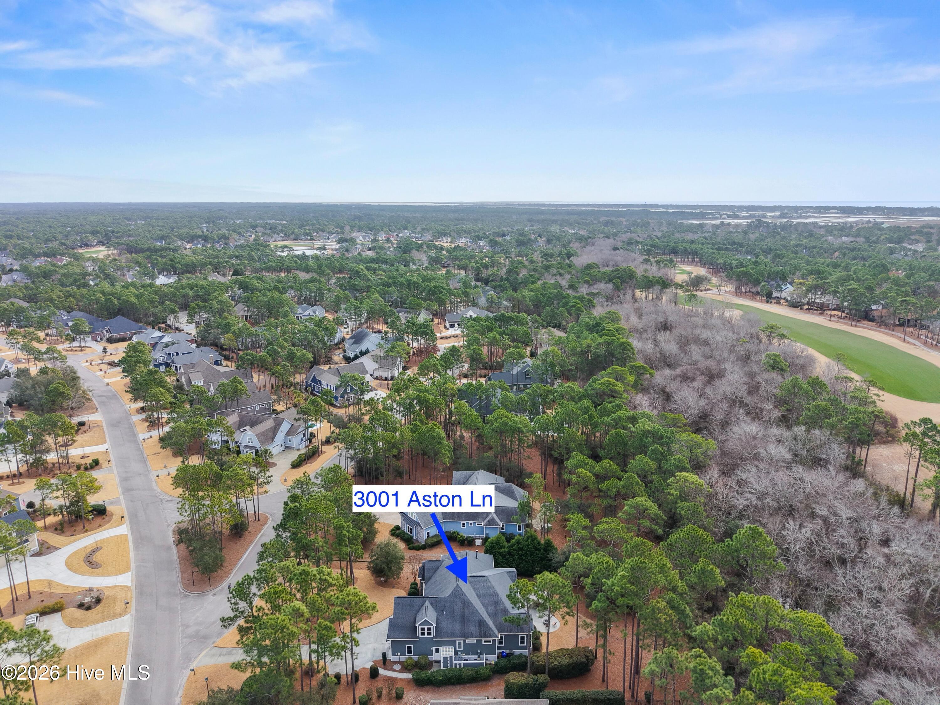 100555606 | Photo 66