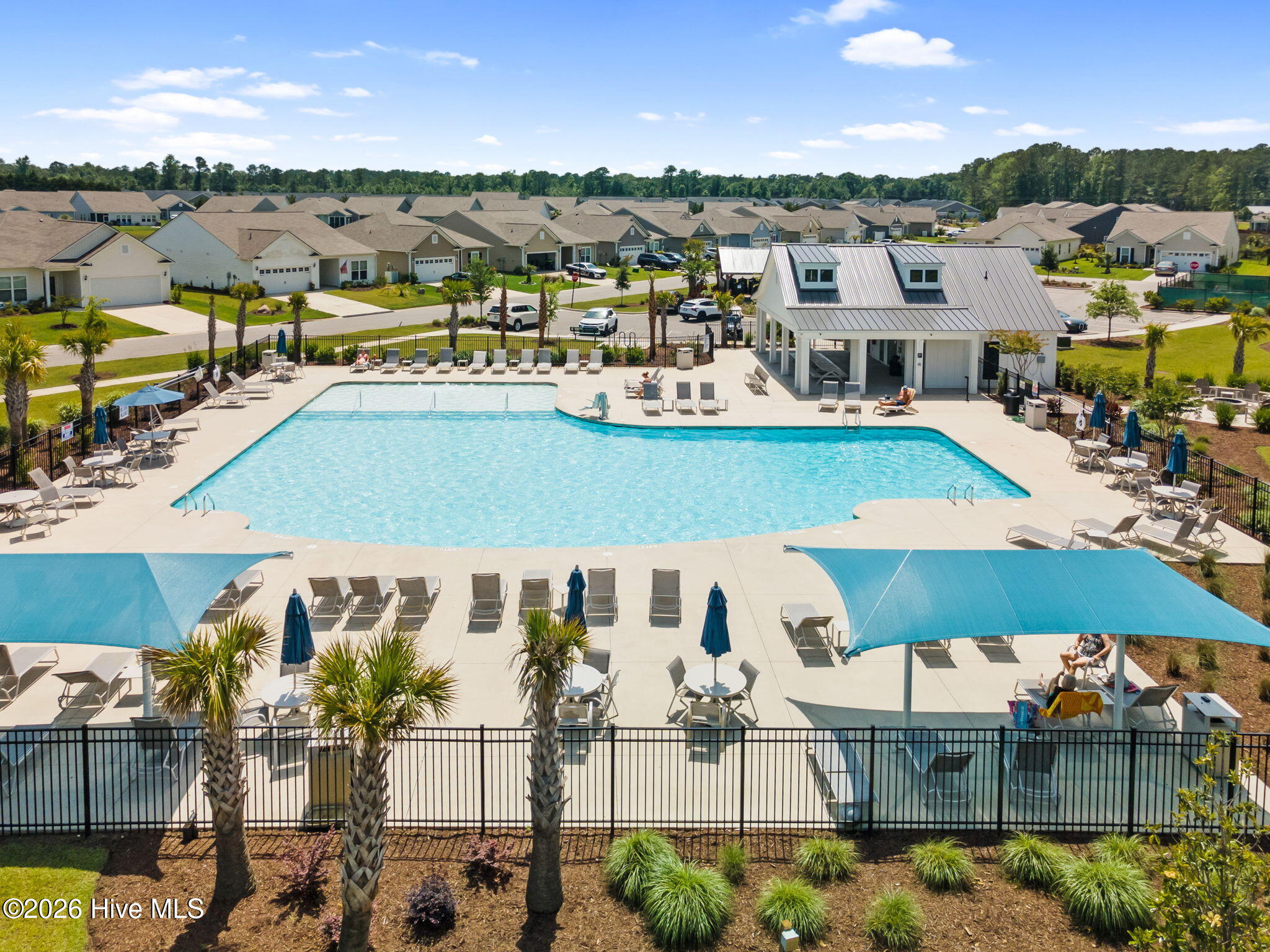 100555393 | Photo 51