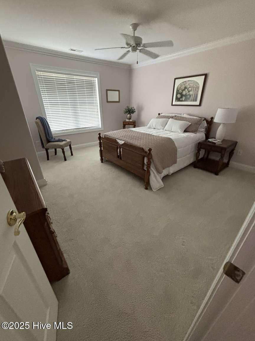 100534224 | Photo 29