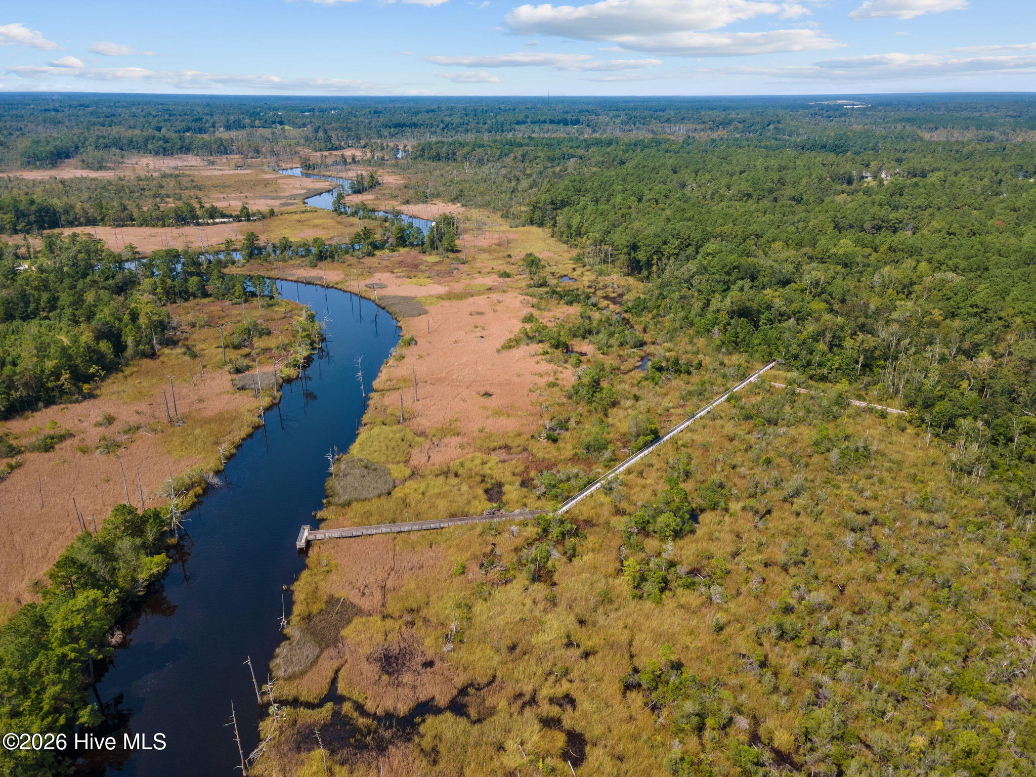 100563731 | Photo 96