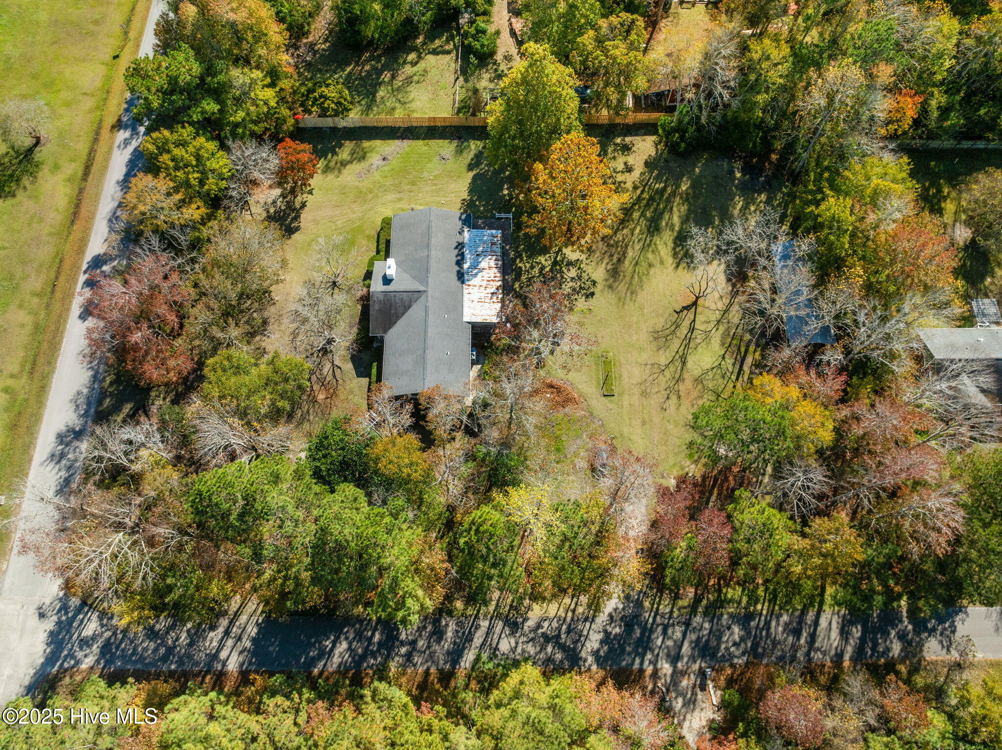 100541666 | Photo 59