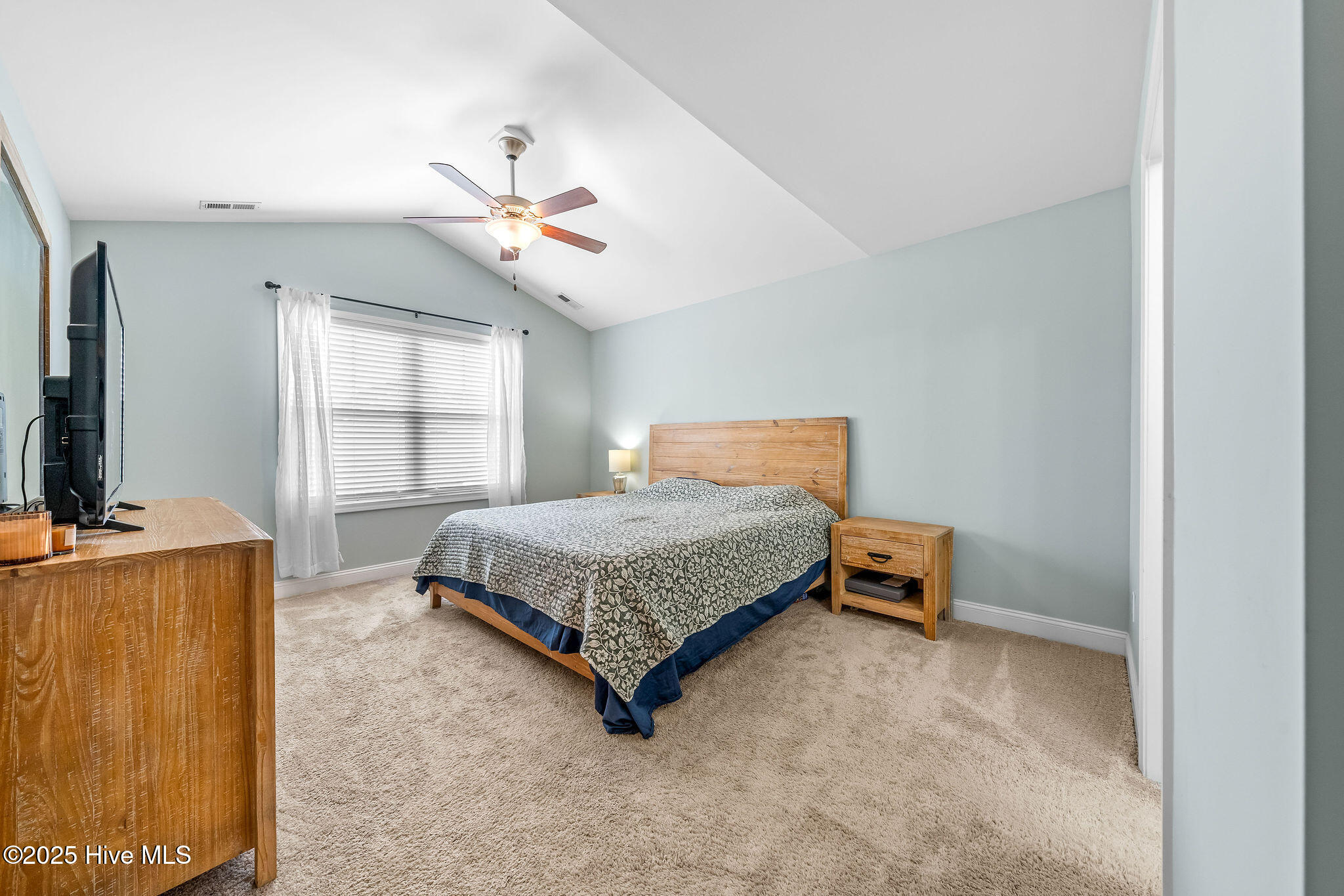 100513272 | Photo 24