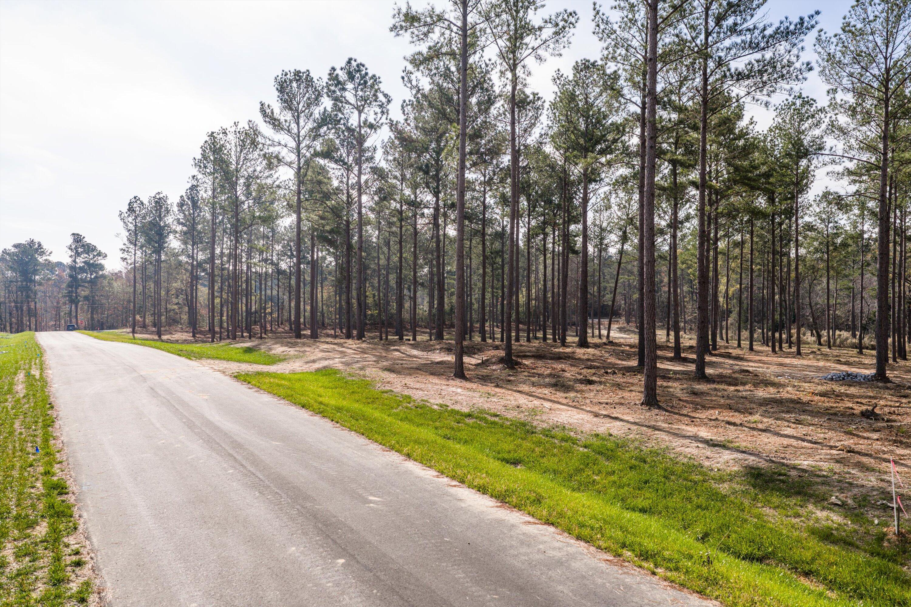 128 Beagle Chase Drive, Appling, GA, 30802