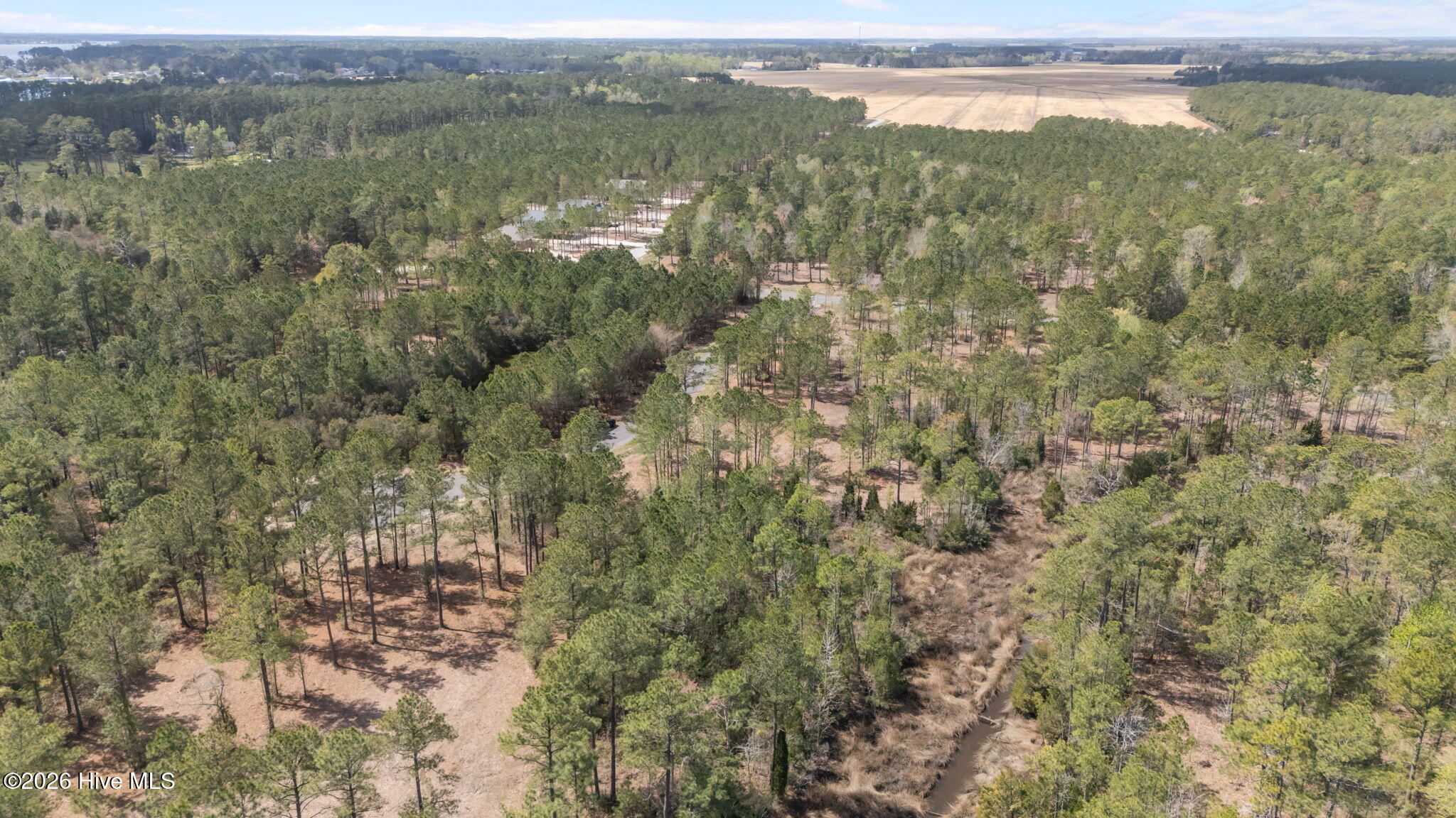 69 36 Royal Shoal Lane,Vandemere