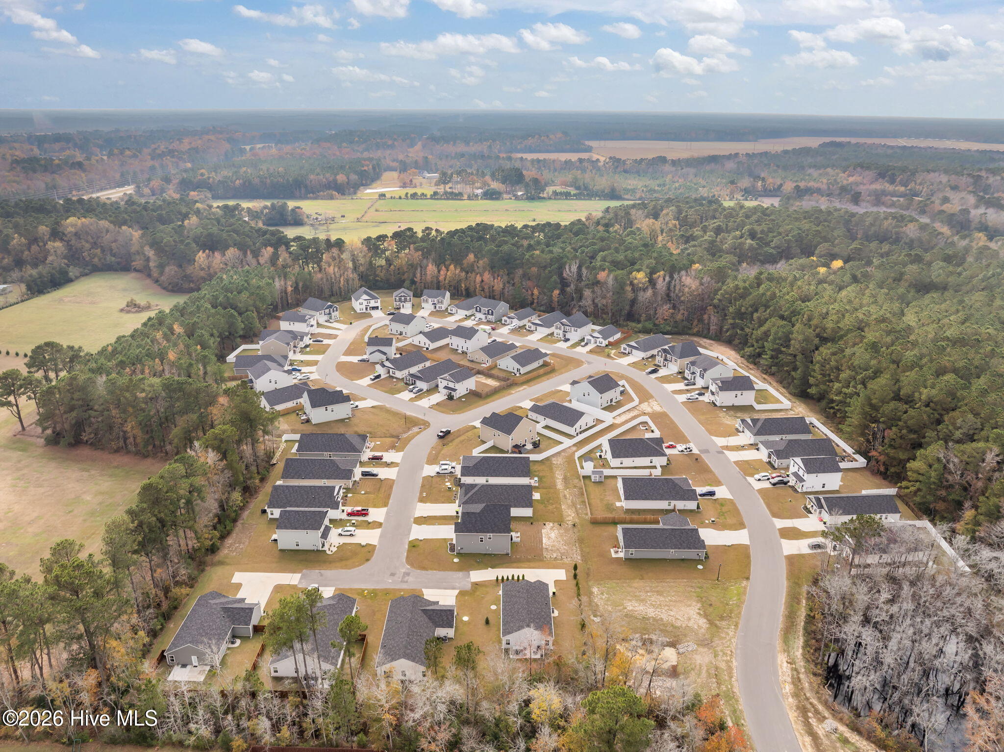 100547545 | Photo 42