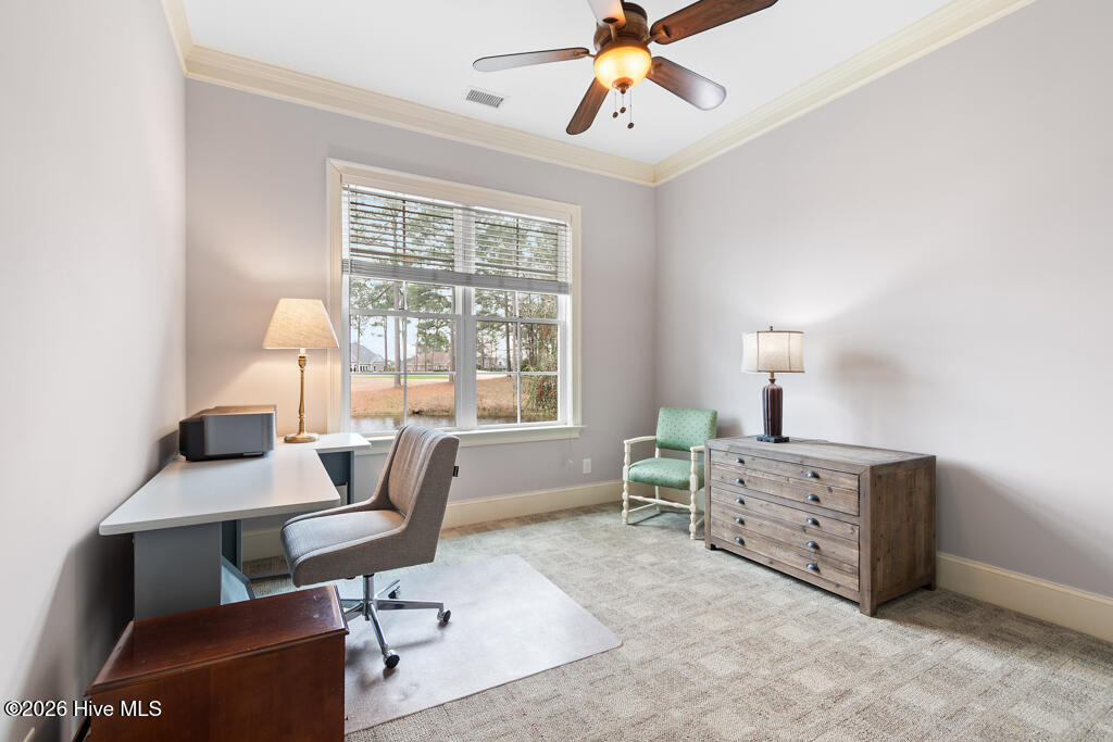 100558482 | Photo 57