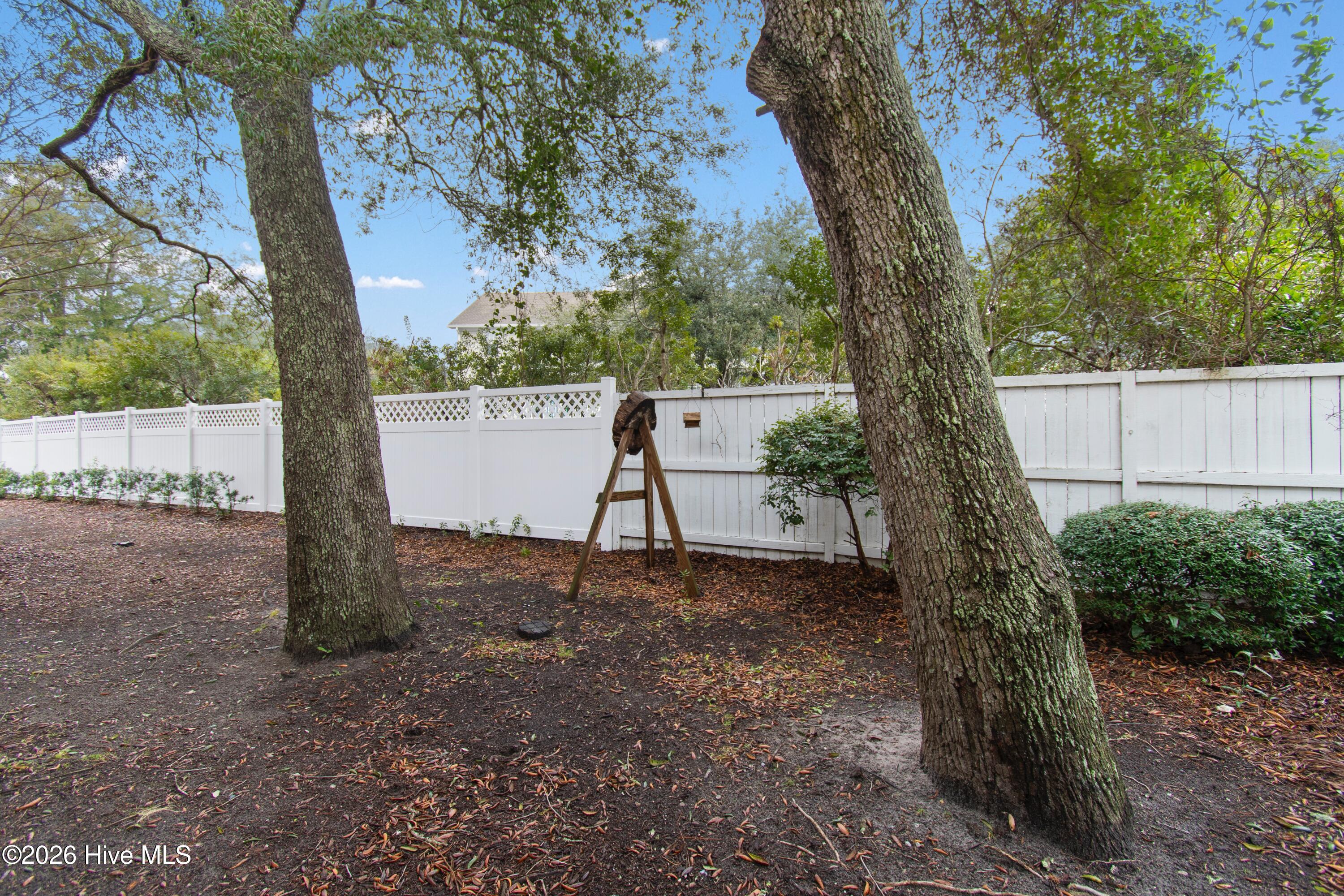 100553178 | Photo 39