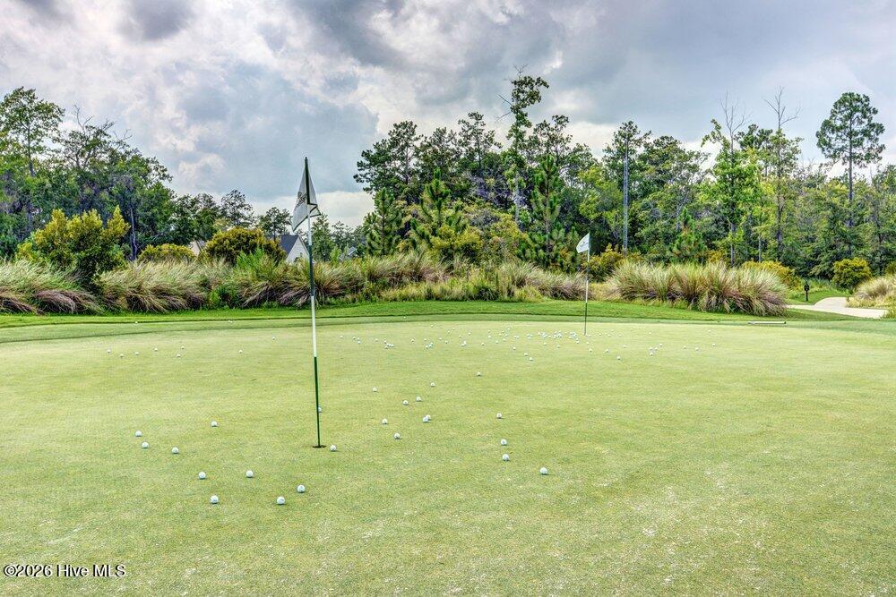 100553268 | Photo 39