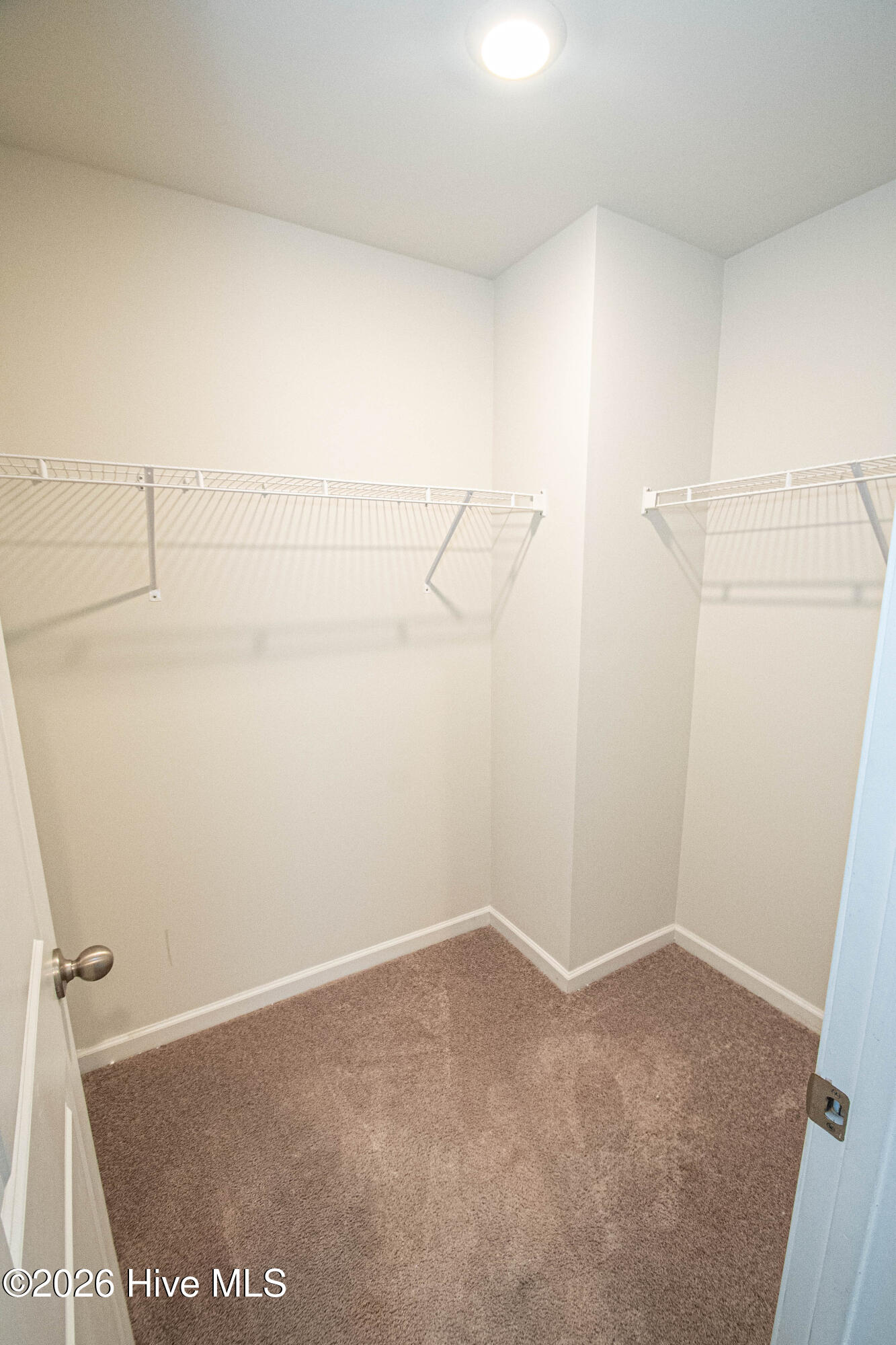 100553957 | Photo 34