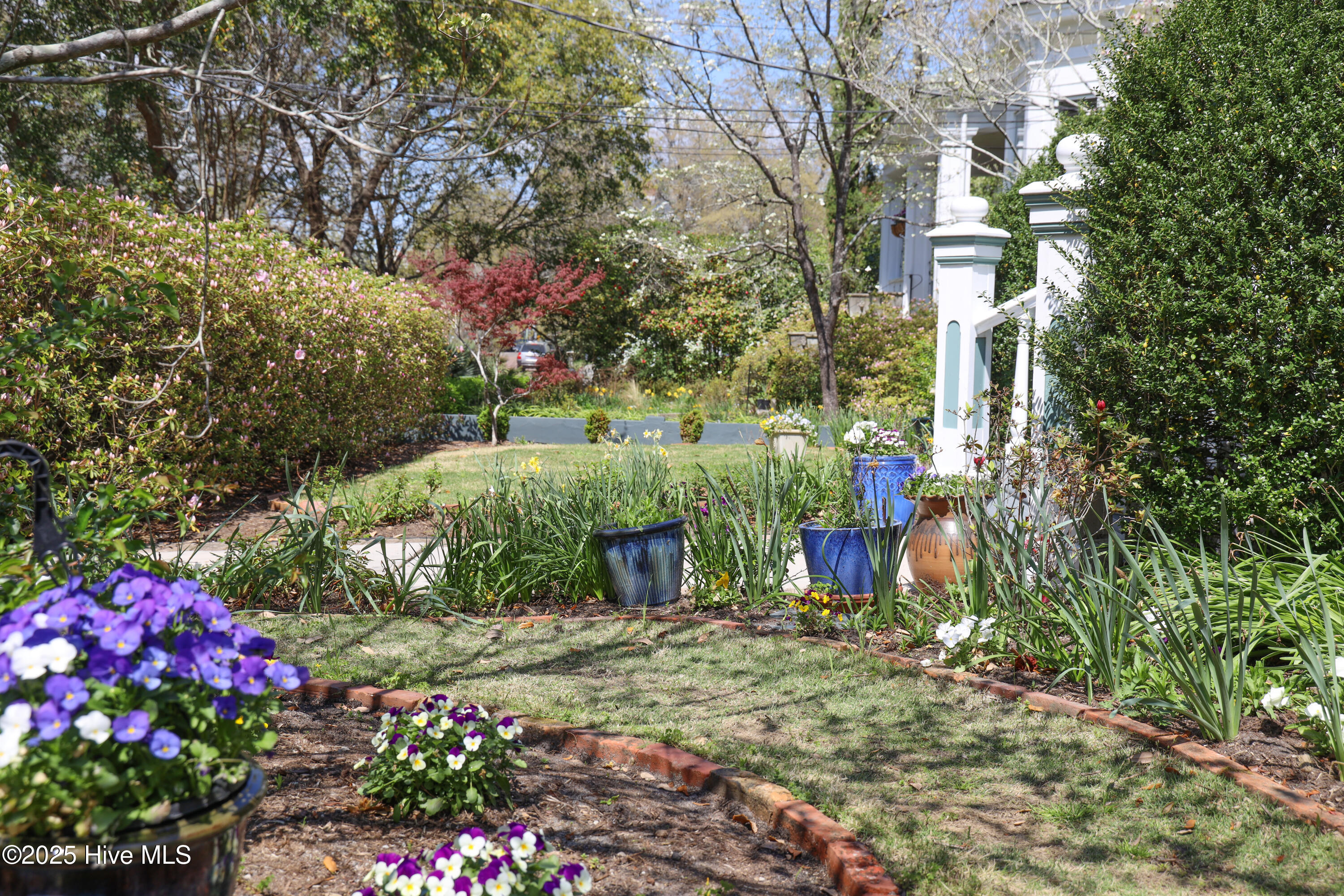 100501936 | Photo 88