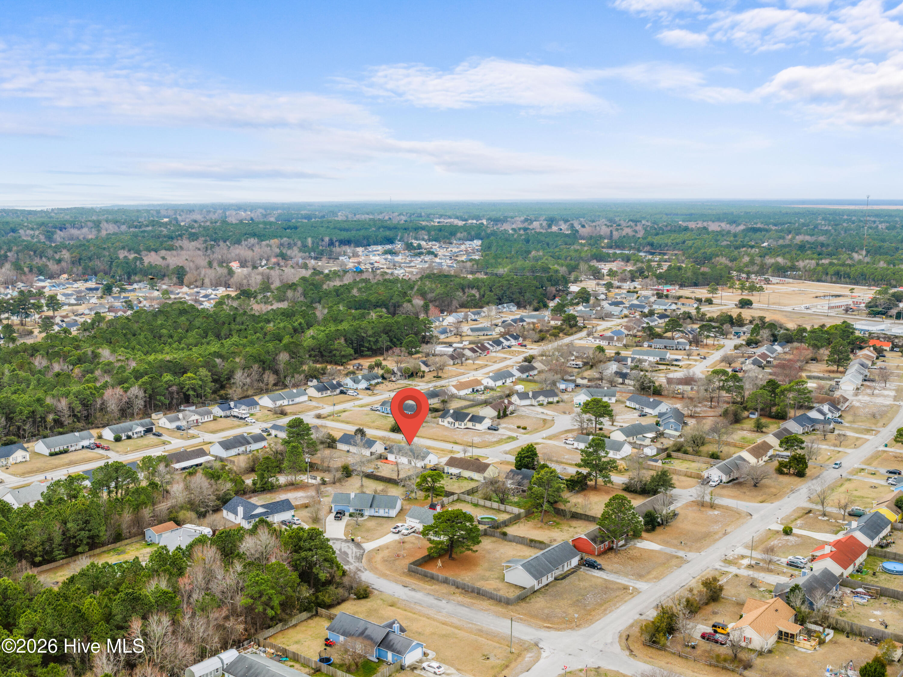 100556081 | Photo 39