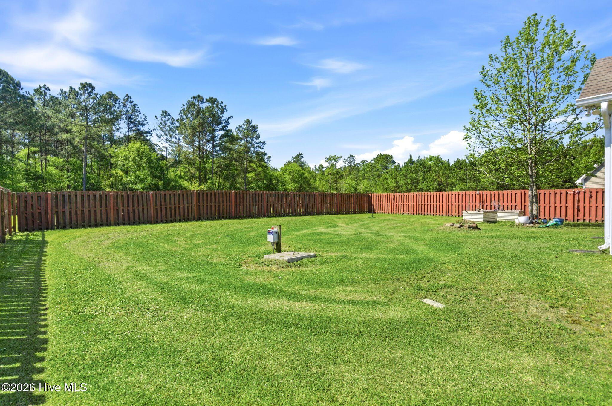 100568404 | Photo 63