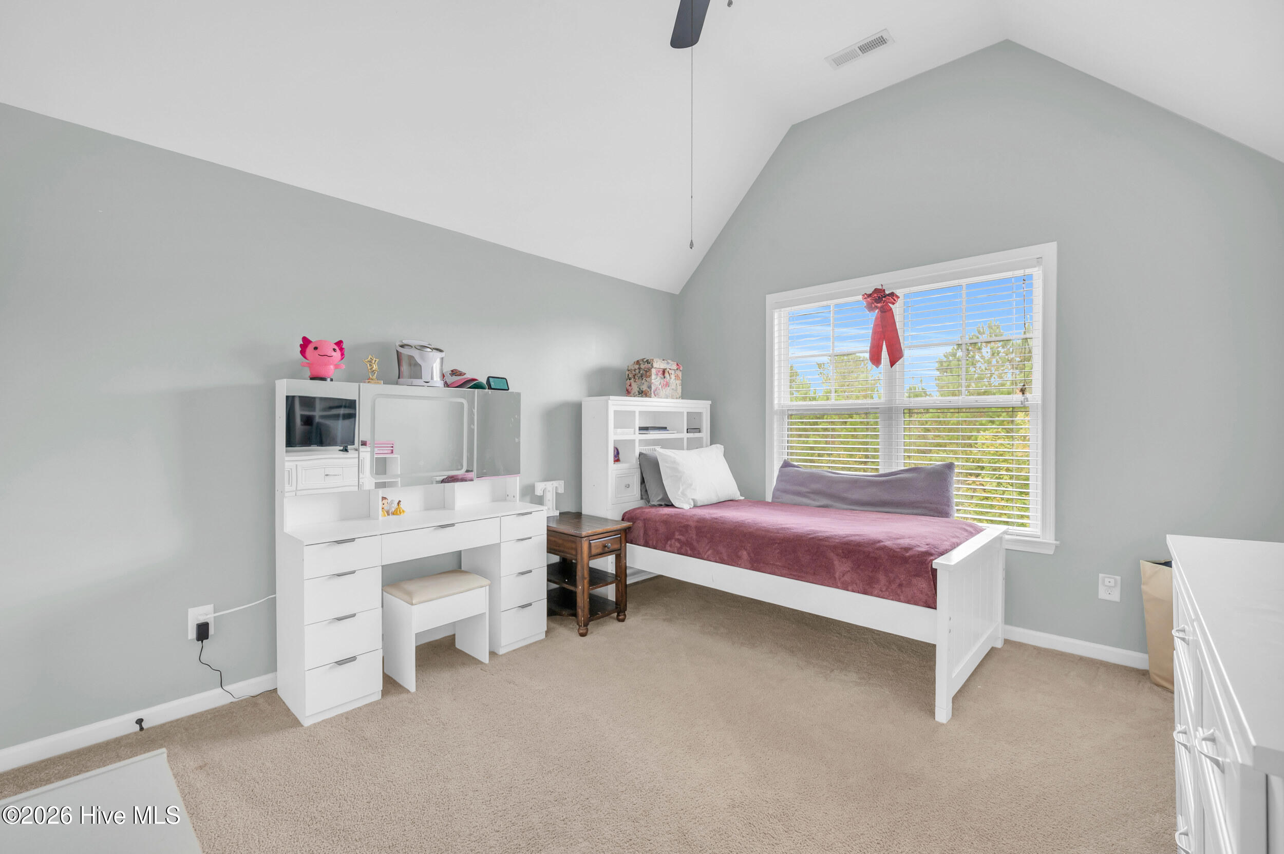 100550798 | Photo 34