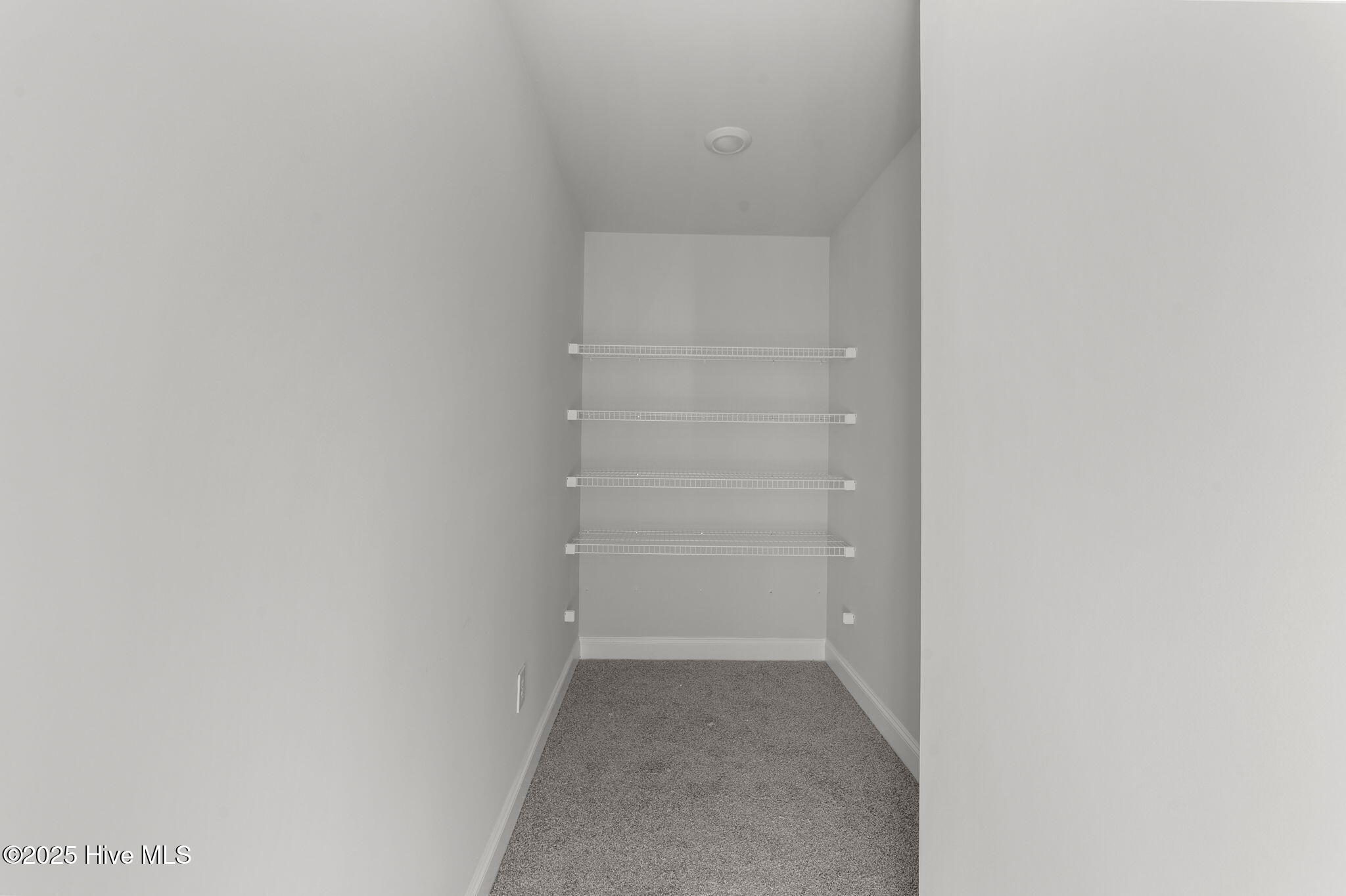 100509954 | Photo 21