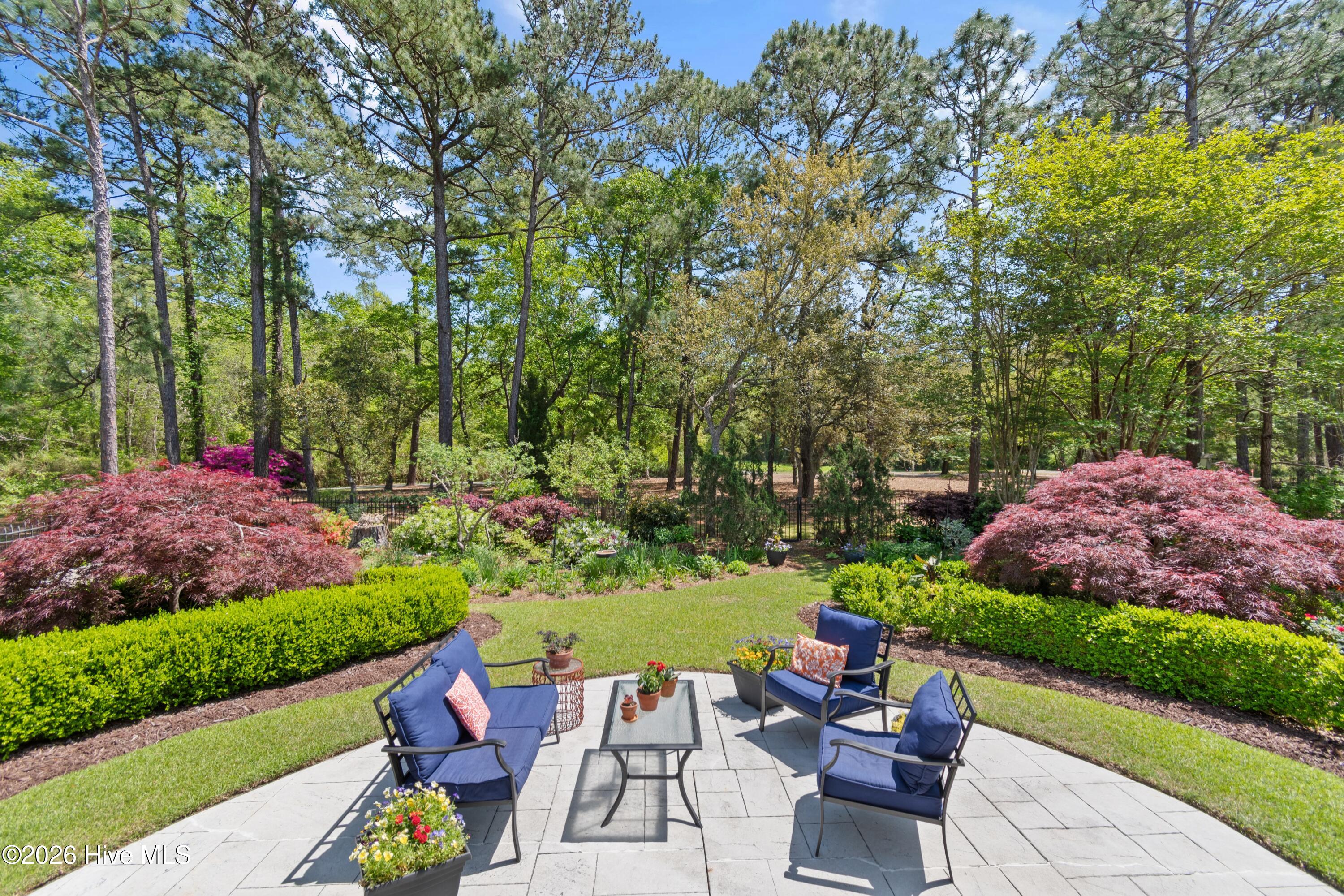 100567309 | Photo 55