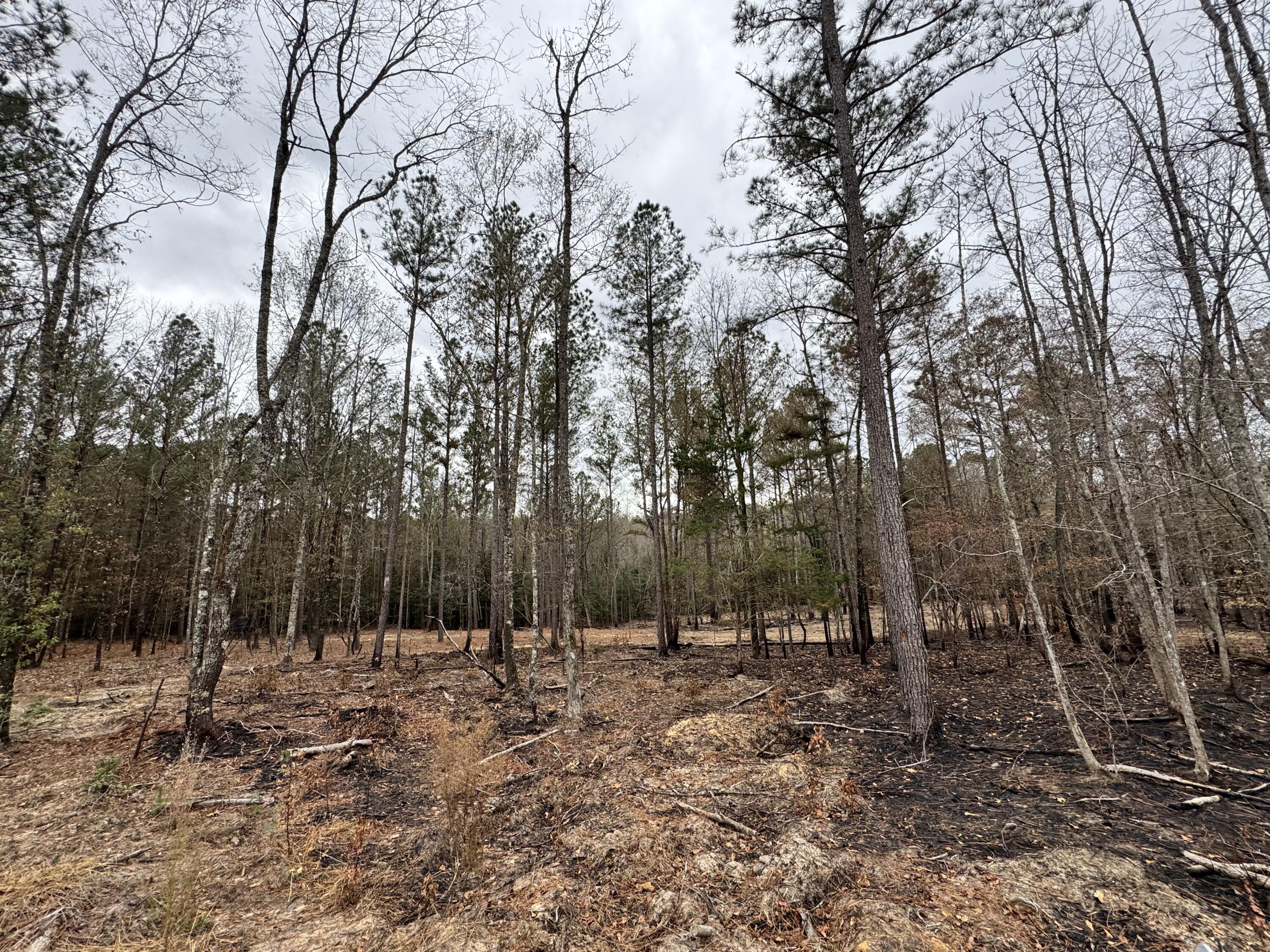 Homes for sale in Gibson, GA | 3479 Bastonville Rd, Gibson, GA 30810 | MLS# 548326