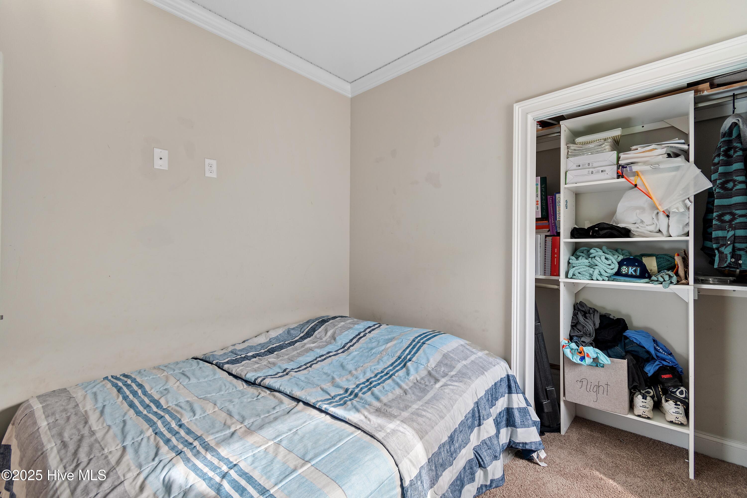 100546132 | Photo 24