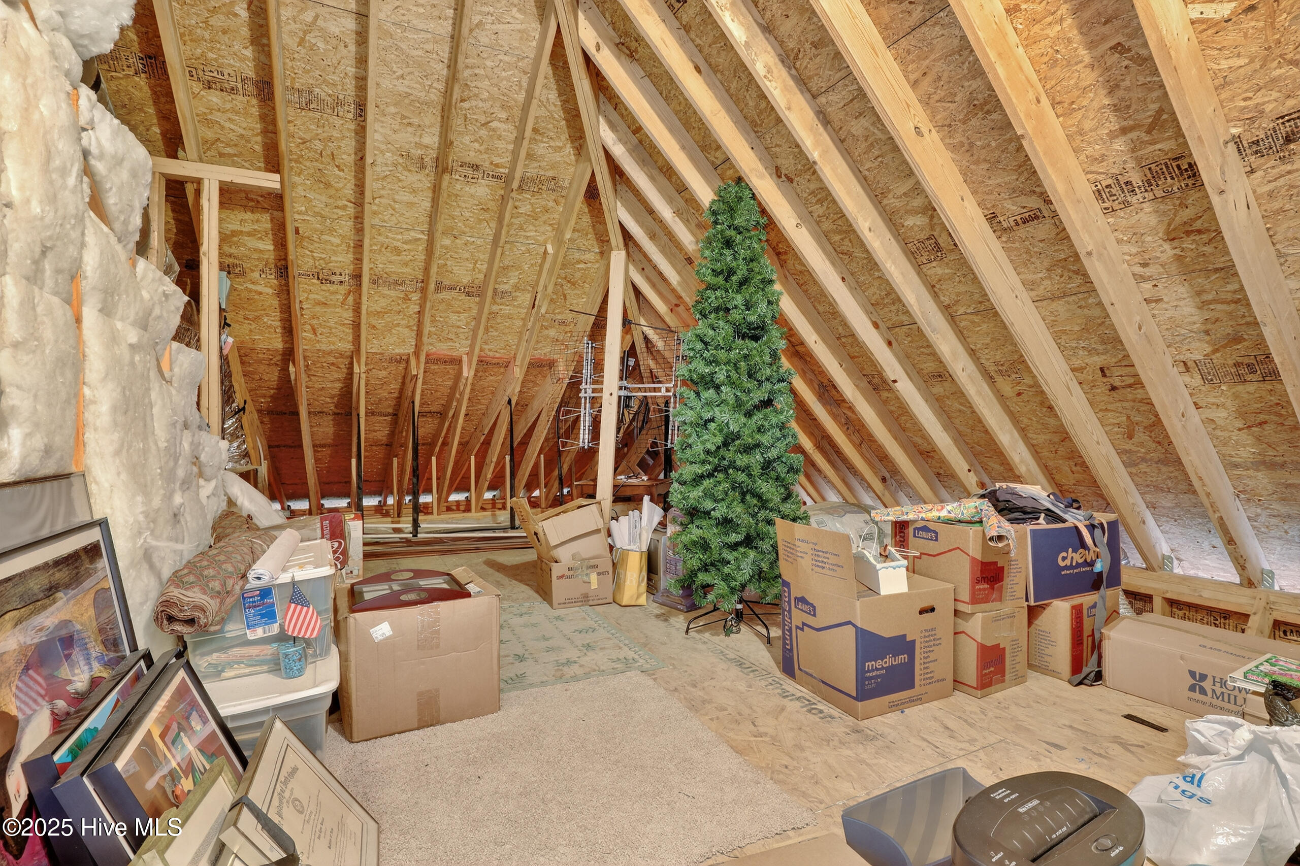 100527488 | Photo 35