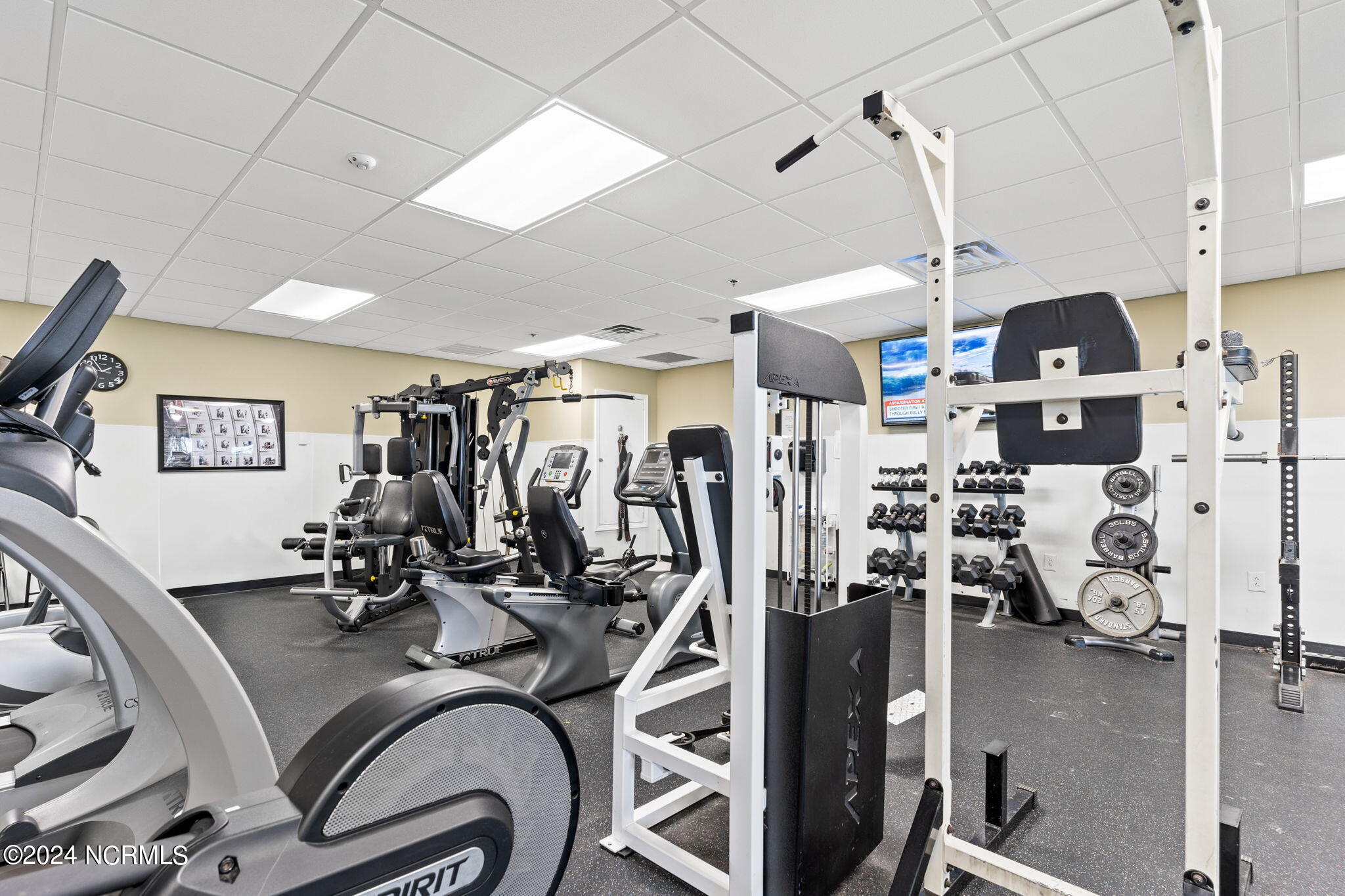 100456942 | Photo 21