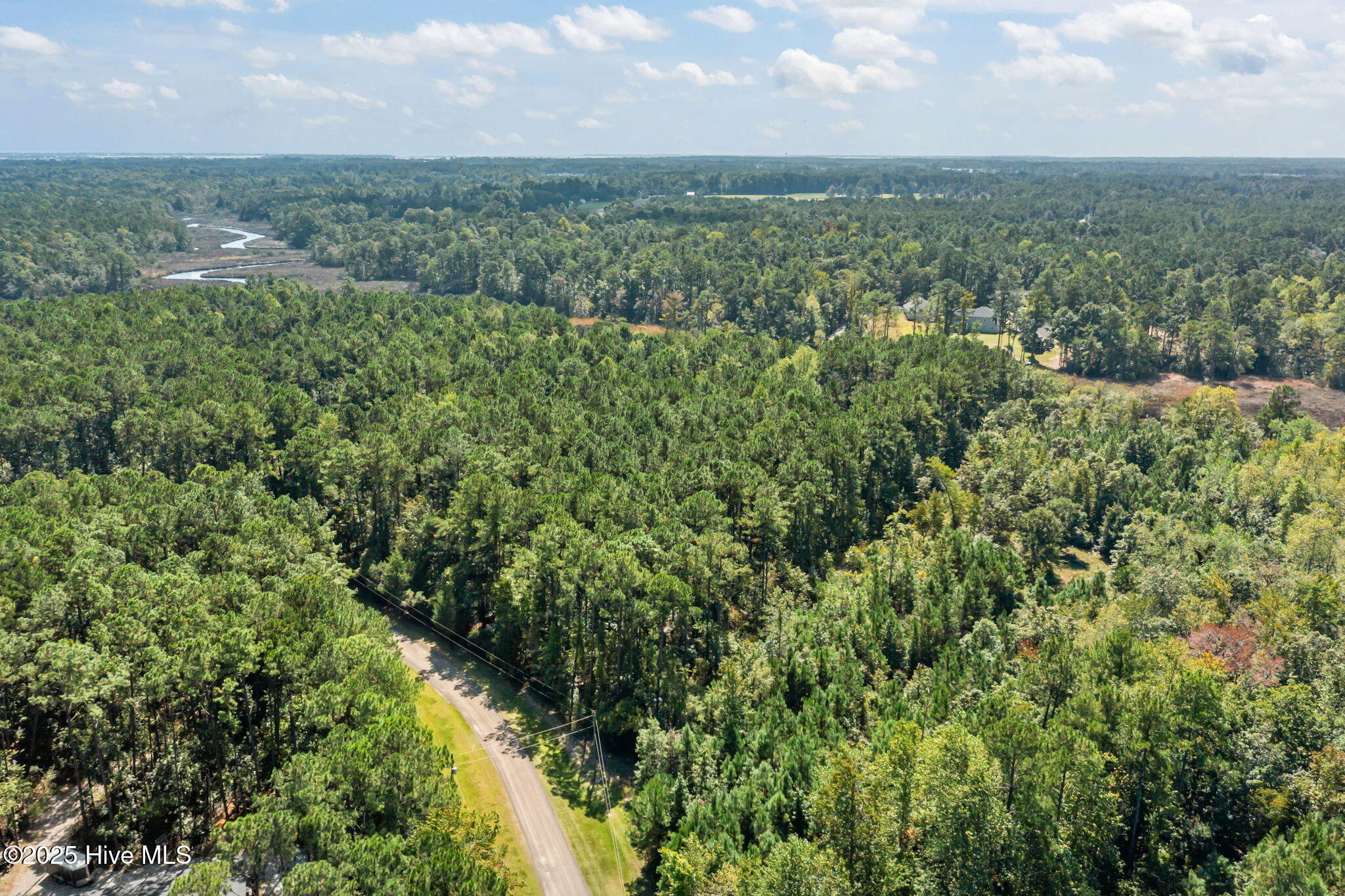 100535245 | Photo 10