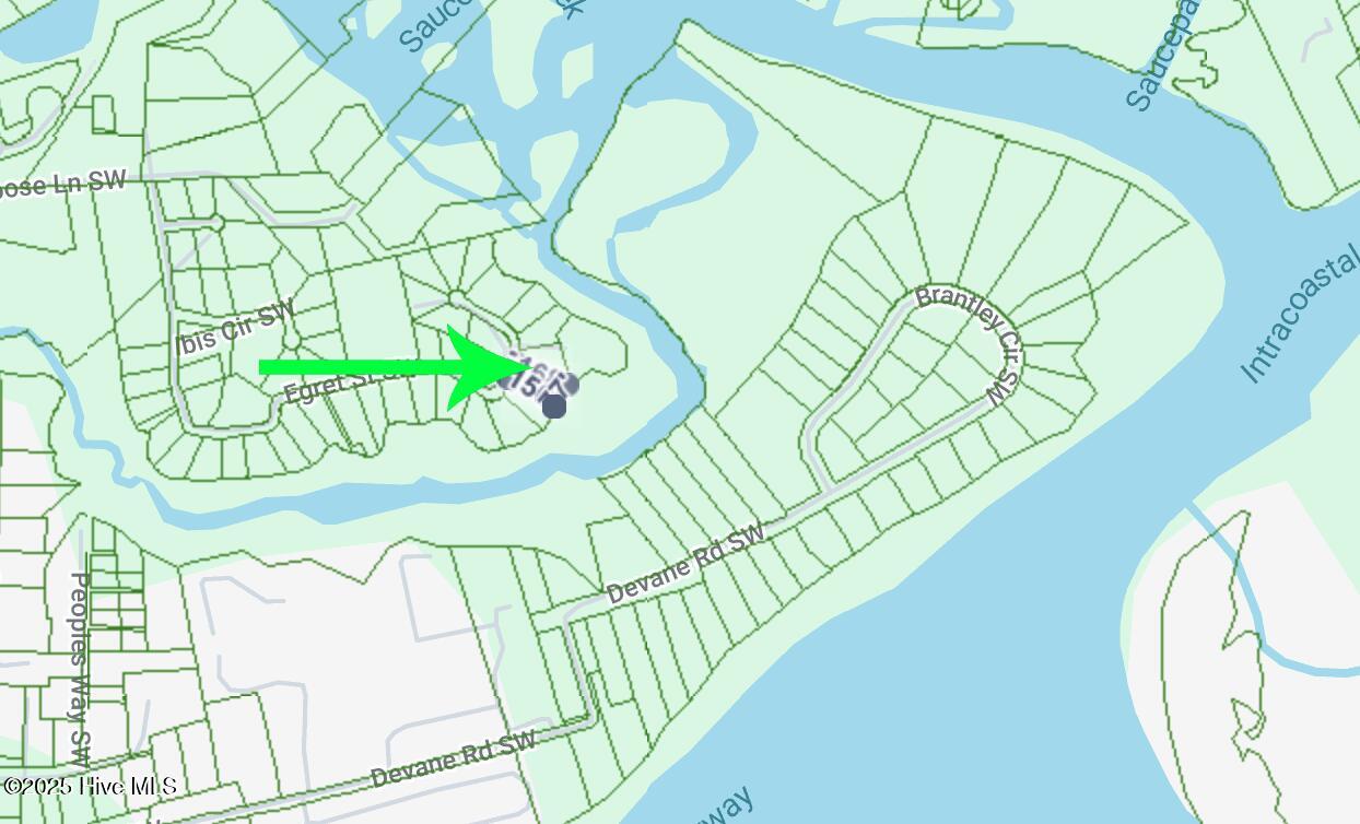 100539255 | Photo 11