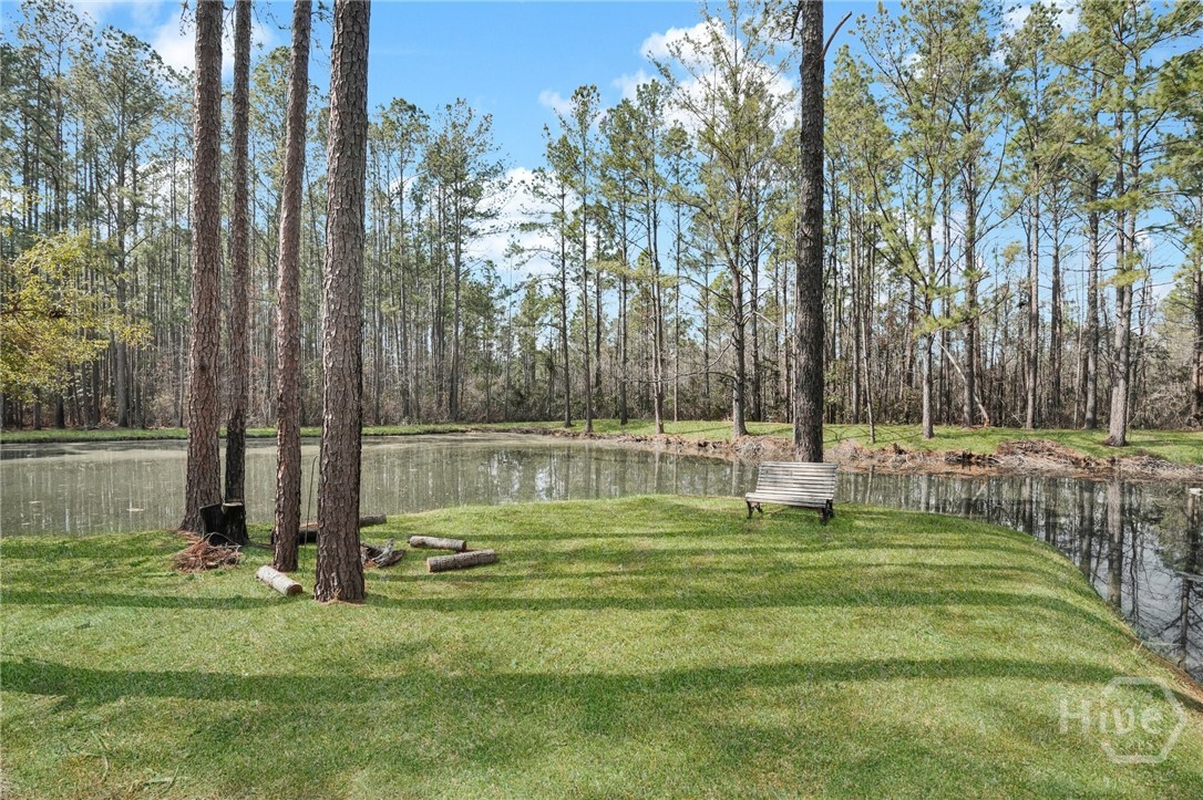 Natural Spring Fed Pond