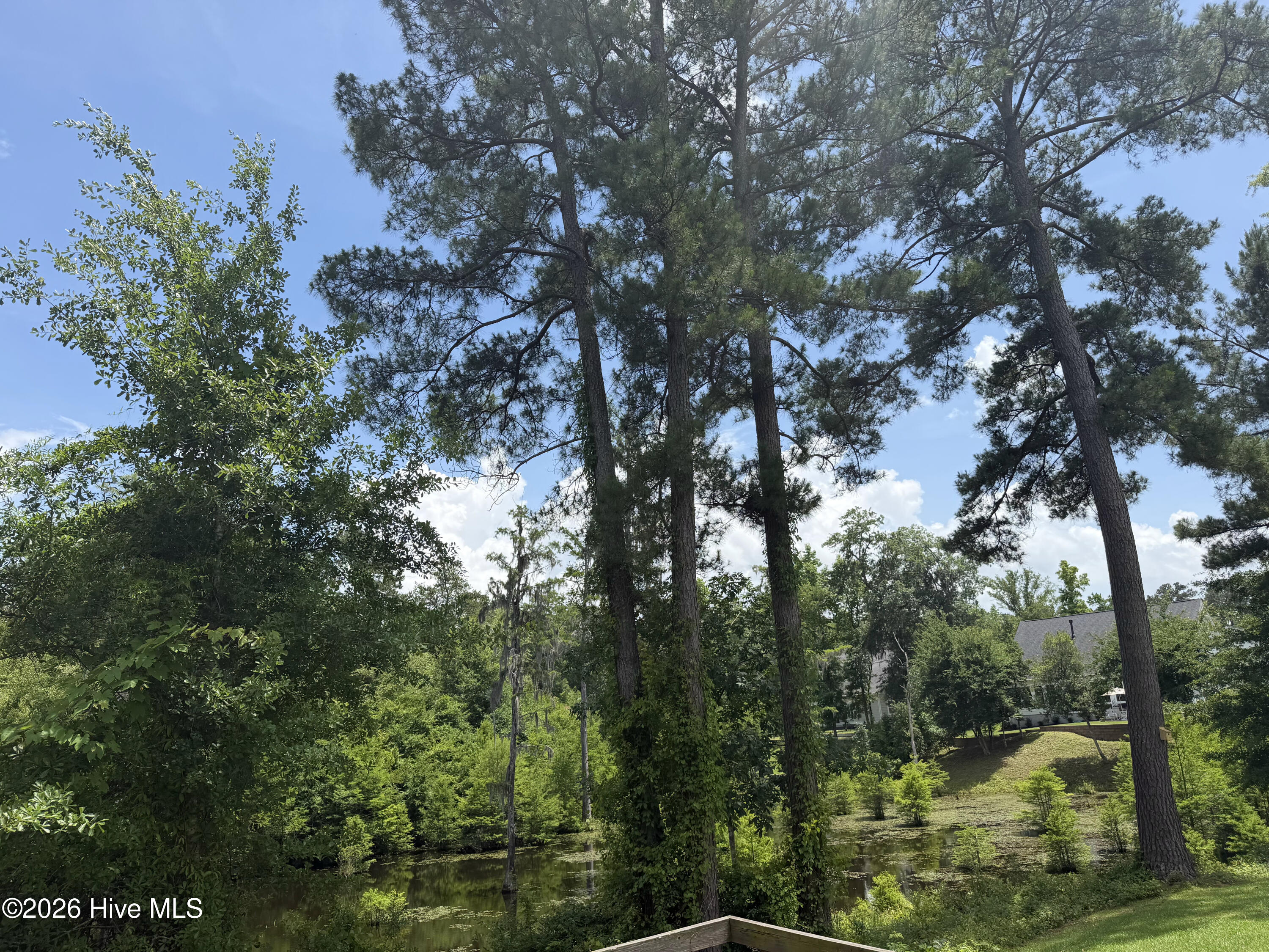 Shirley Johnson - MLS Number: 100389771