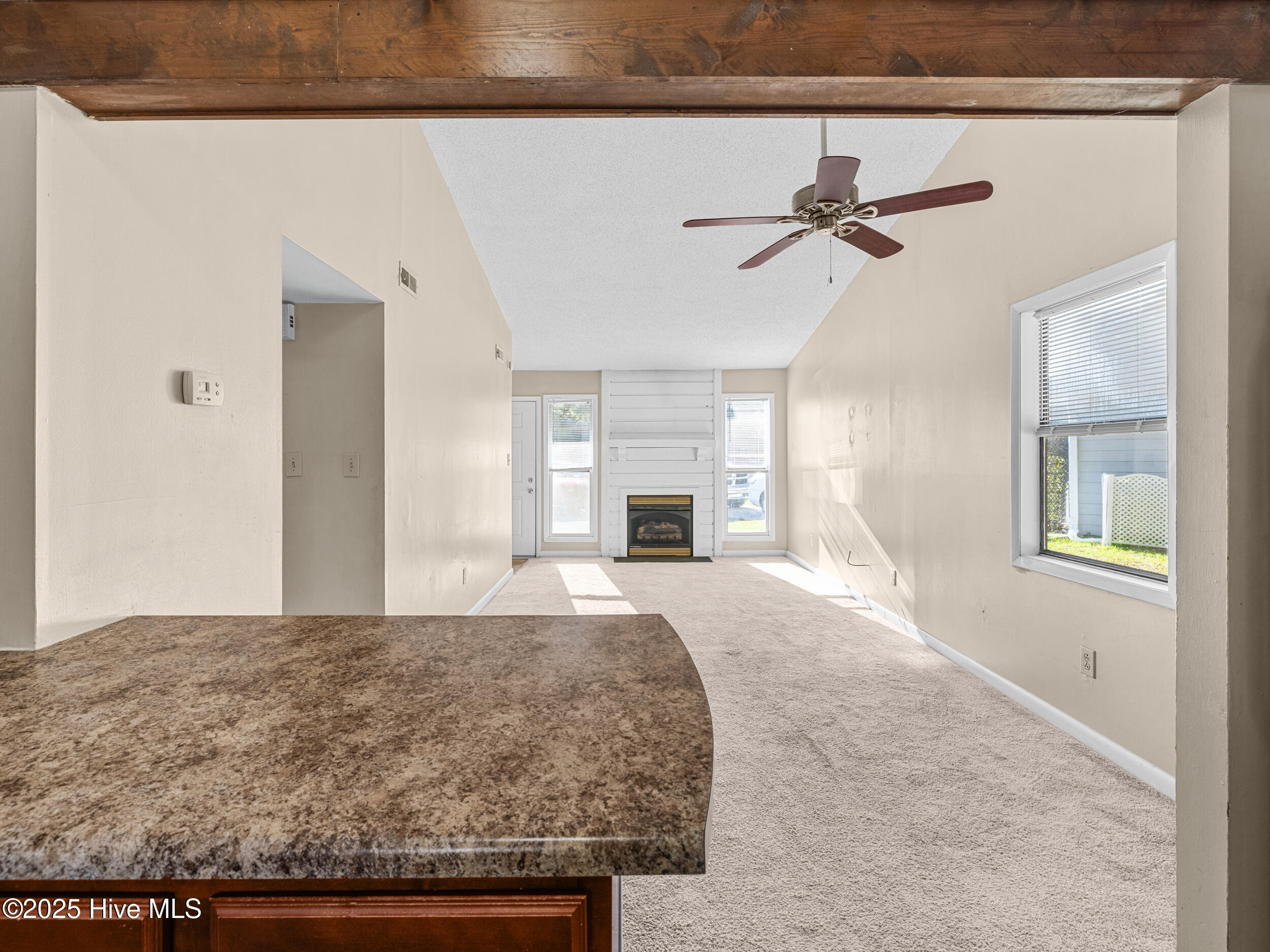 100540466 | Photo 10