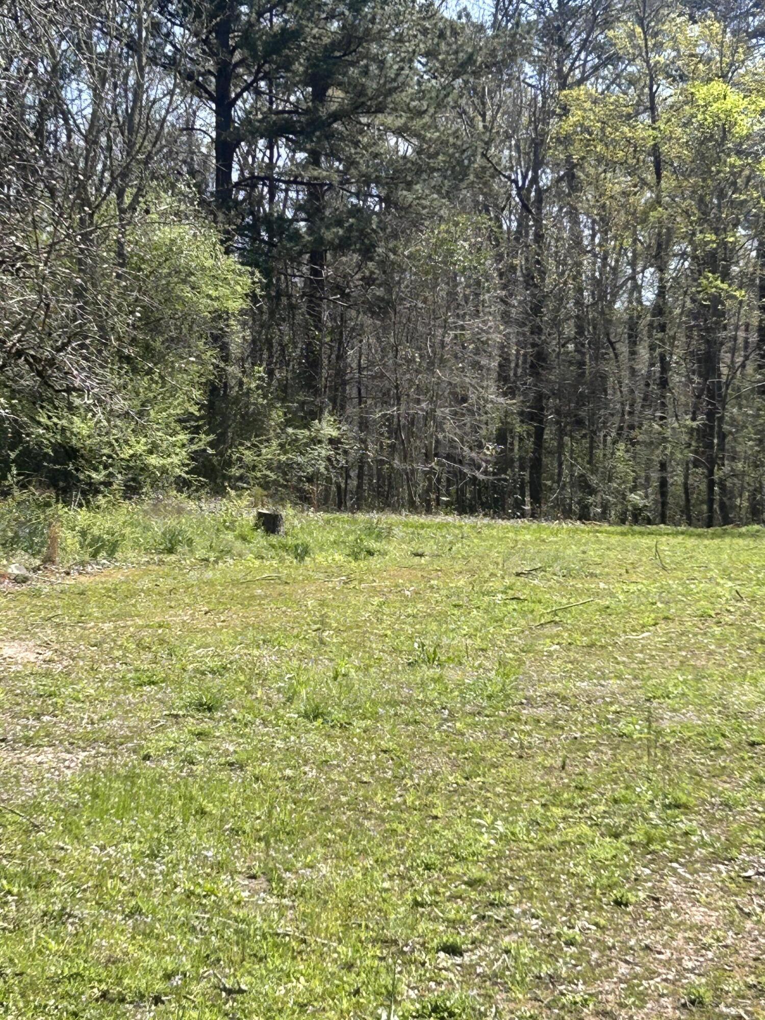 Homes for sale in Thomson, GA | 5824 Ne Lincolnton Rd, Thomson, GA 30824 | MLS# 553567