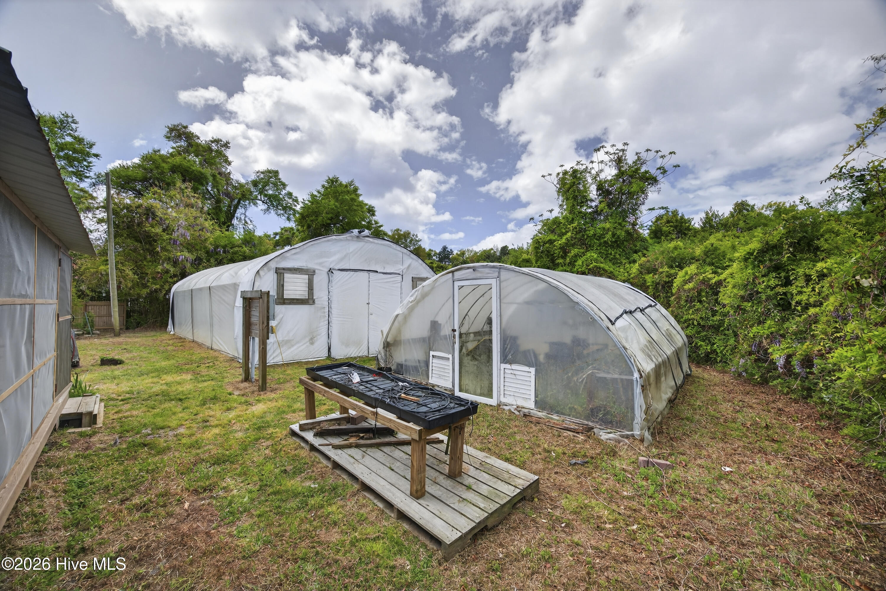 100564526 | Photo 40