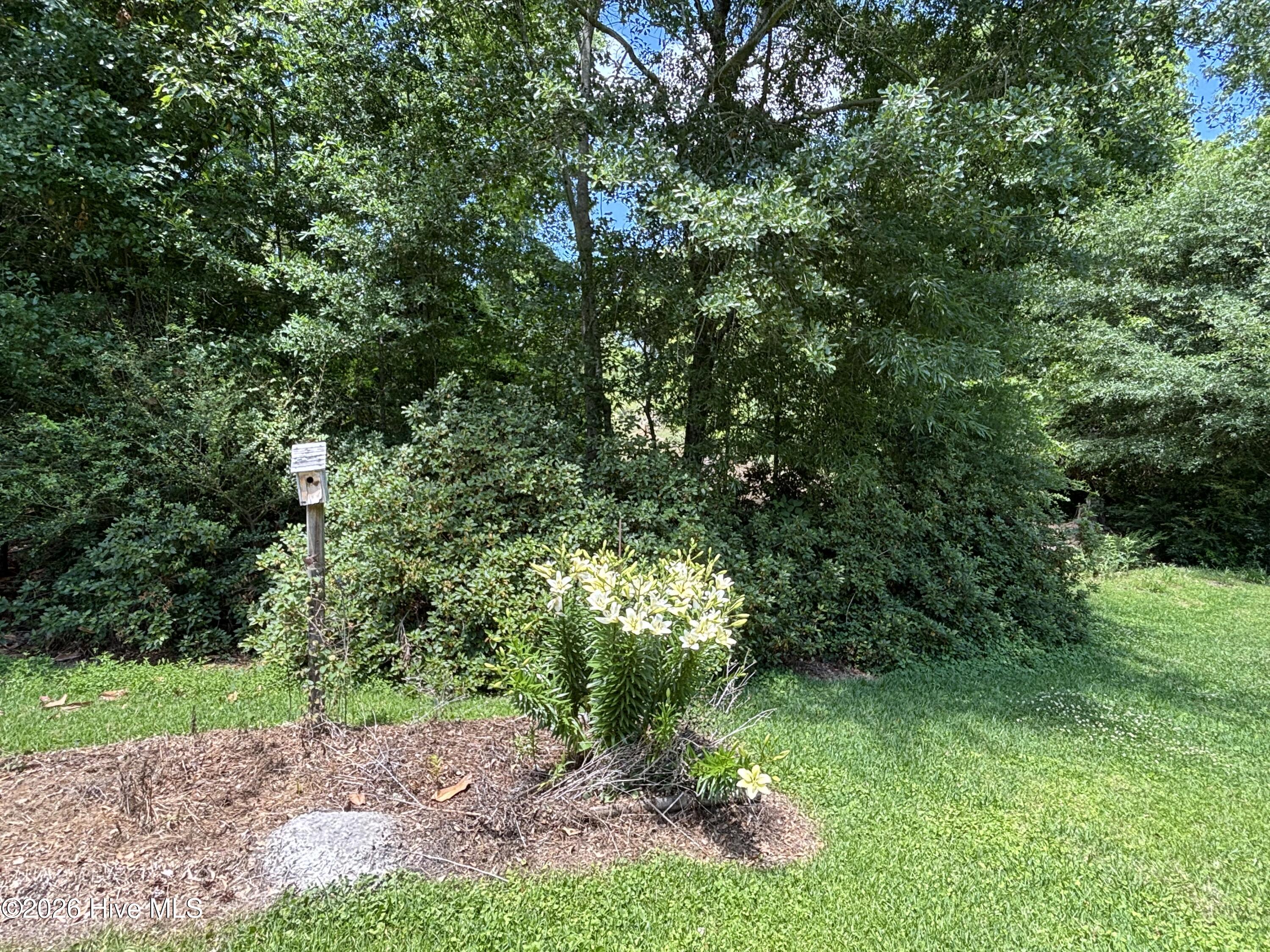 312 Neuse Cliffs Road,New Bern
