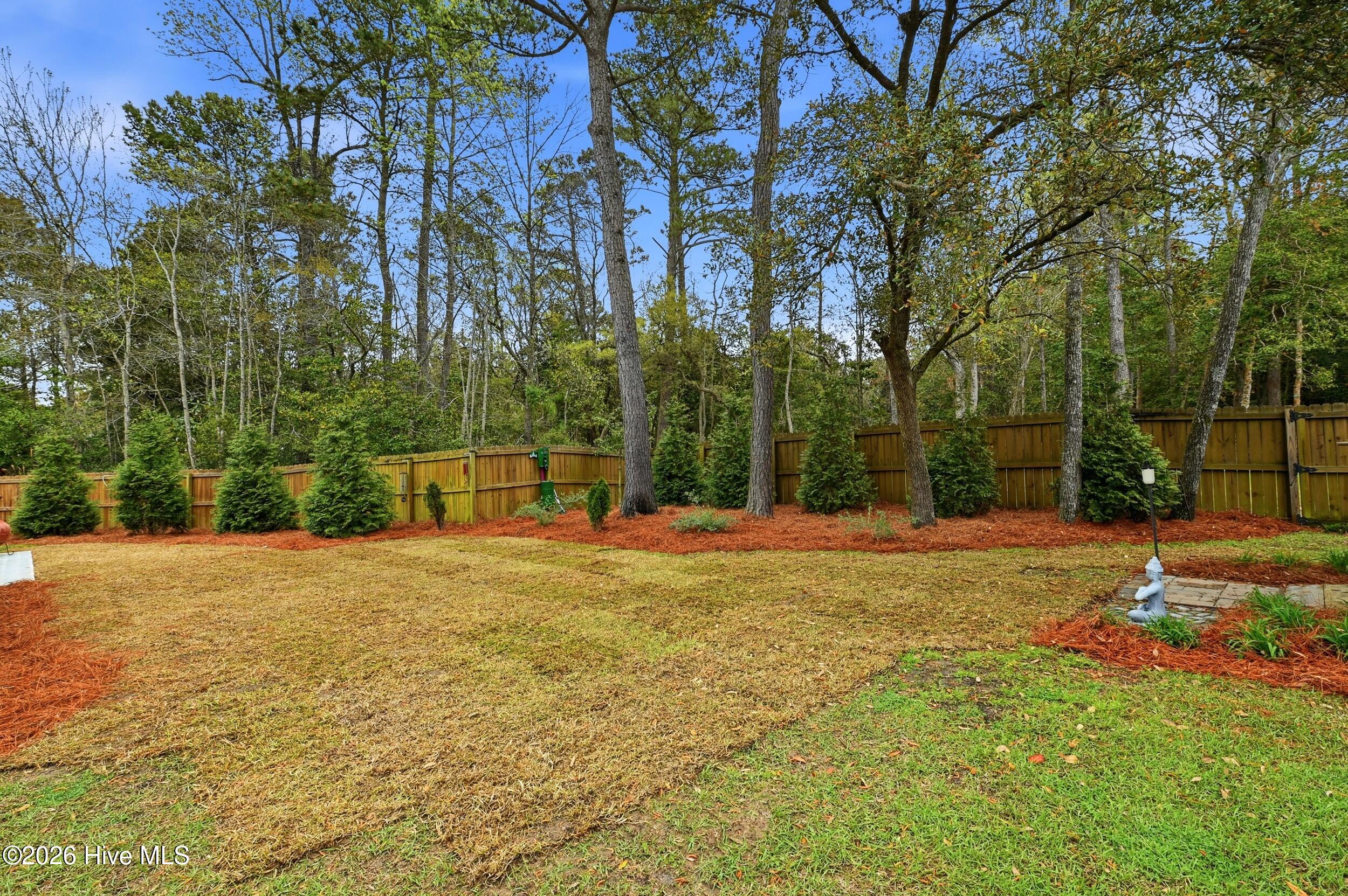 100563166 | Photo 45