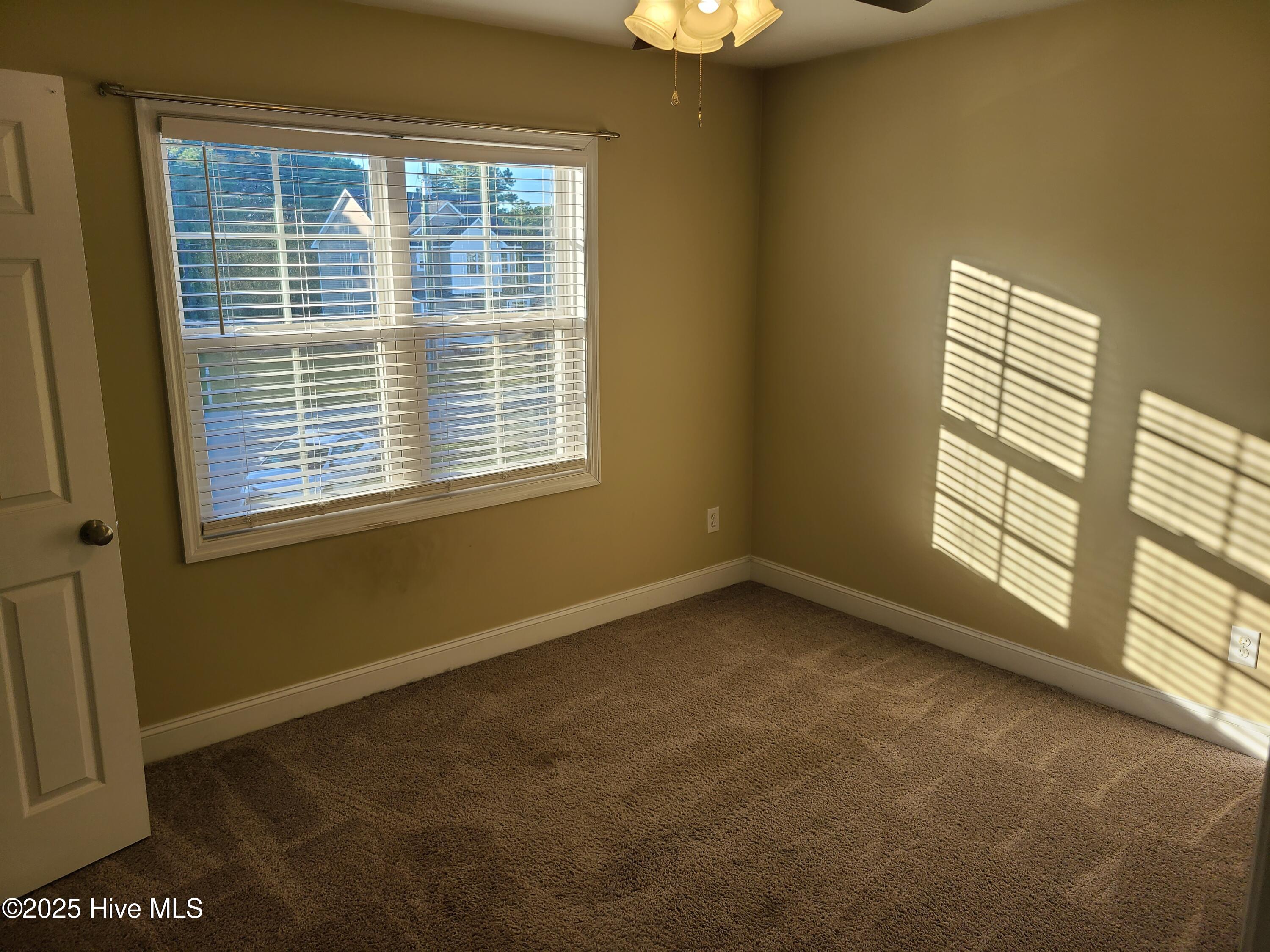 100539492 | Photo 11