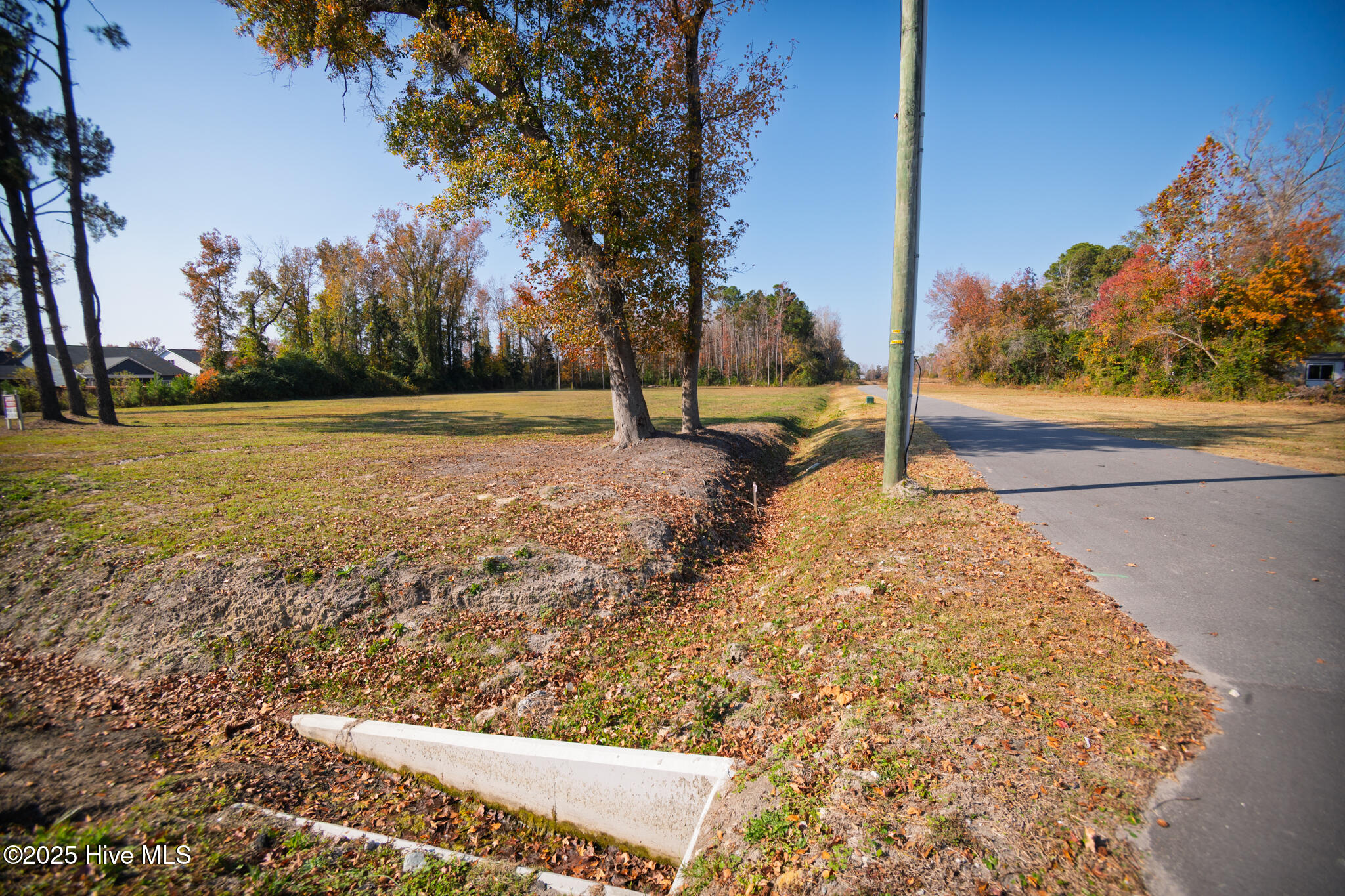 100543499 | Photo 20