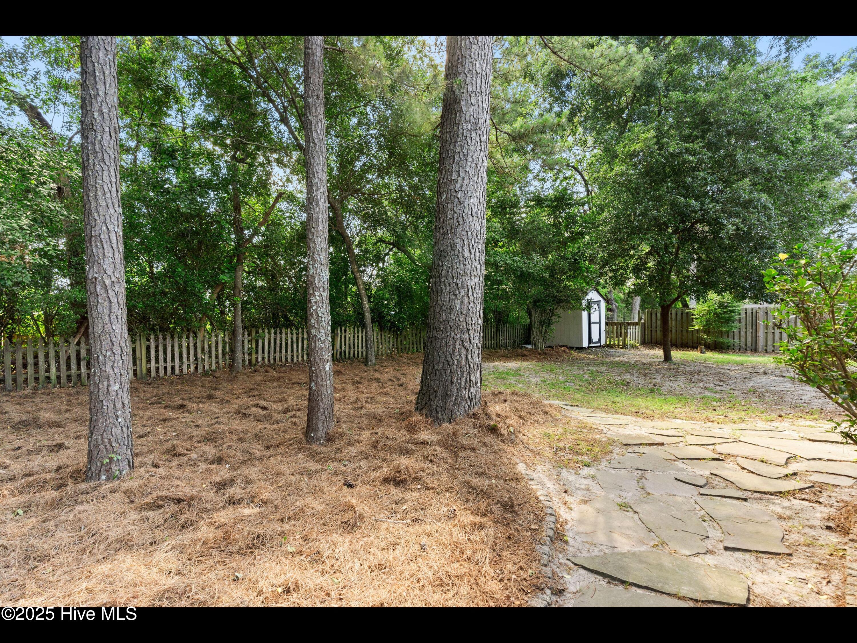 100509551 | Photo 36