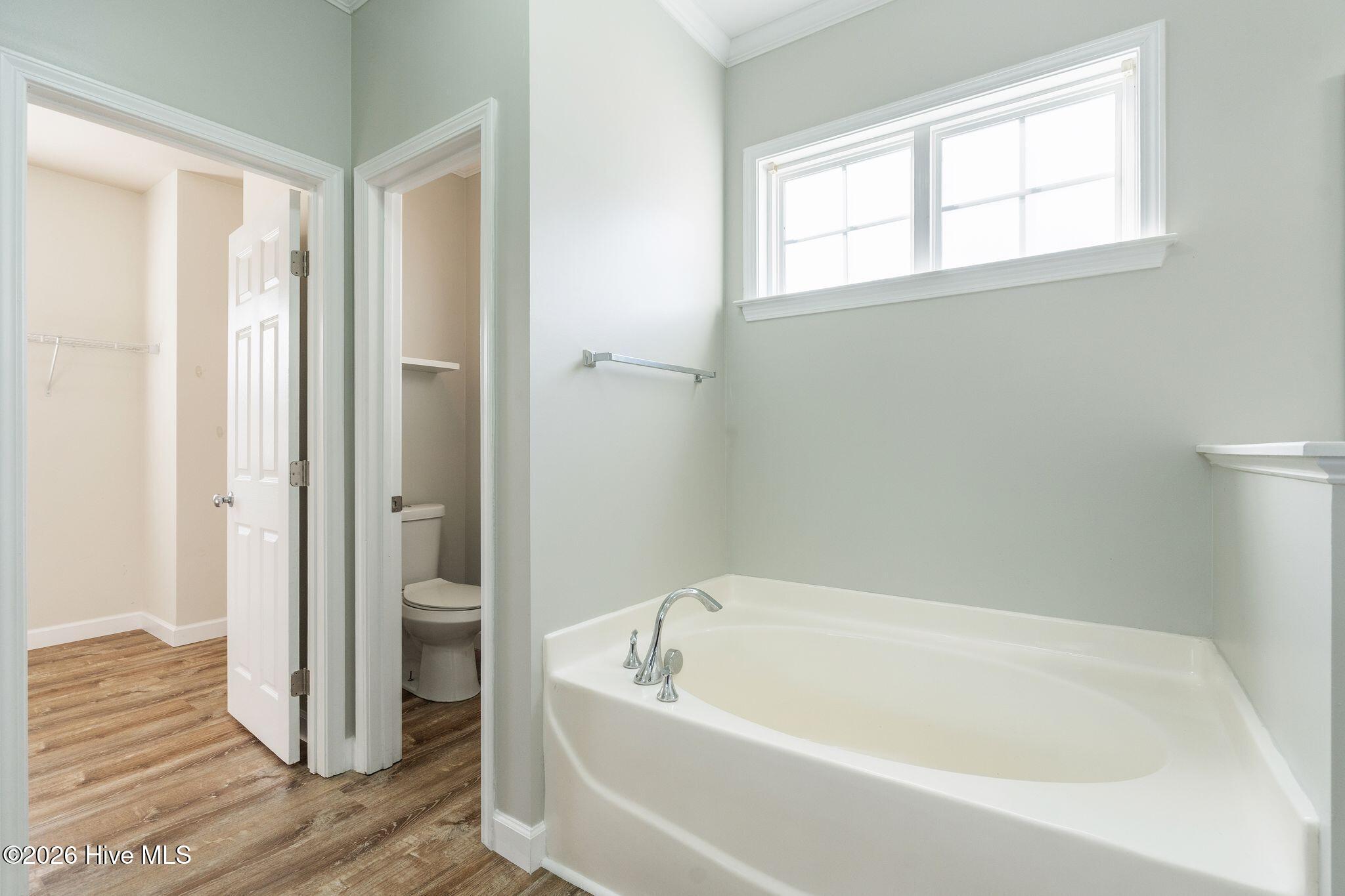 100558662 | Photo 42