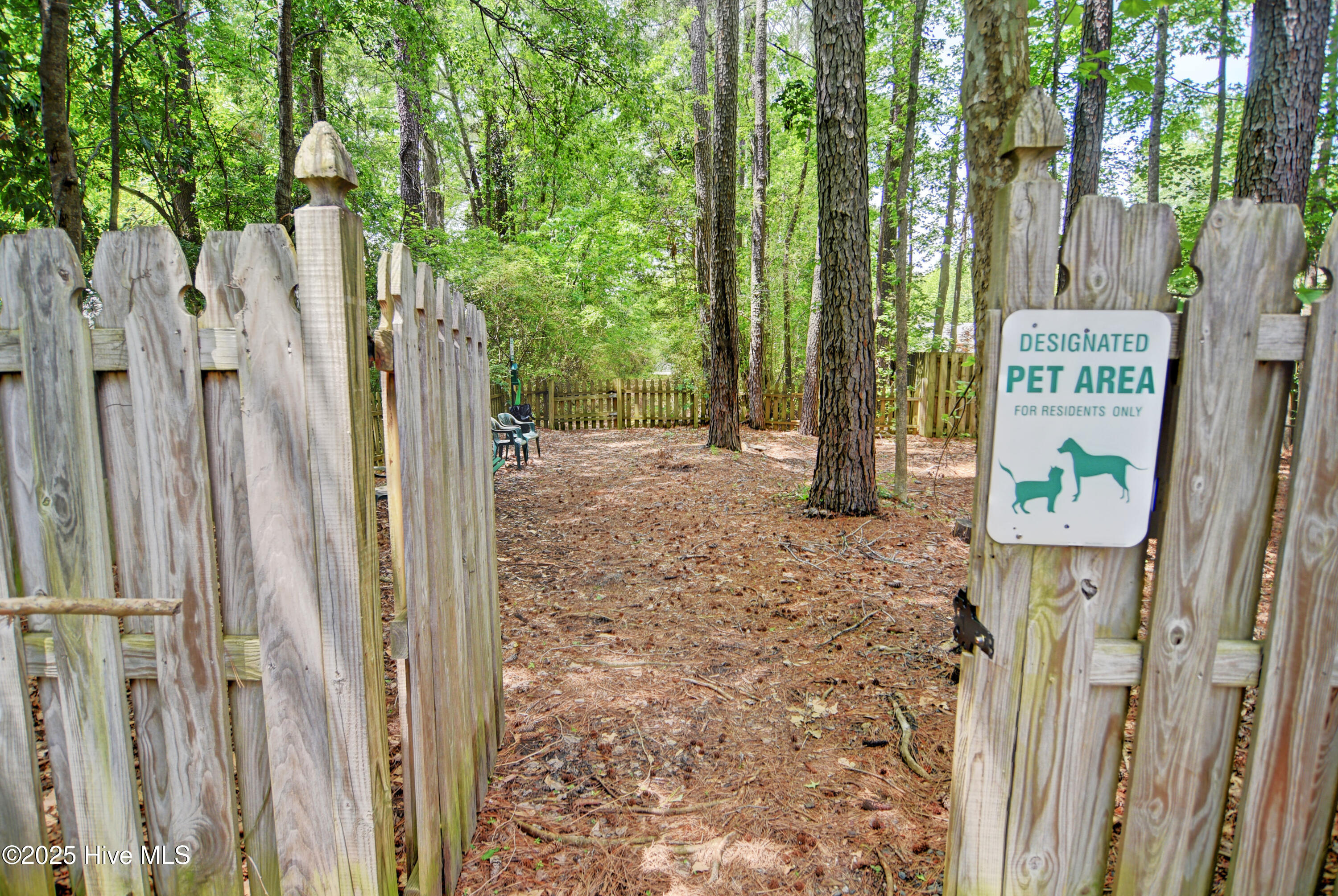 100557867 | Photo 30