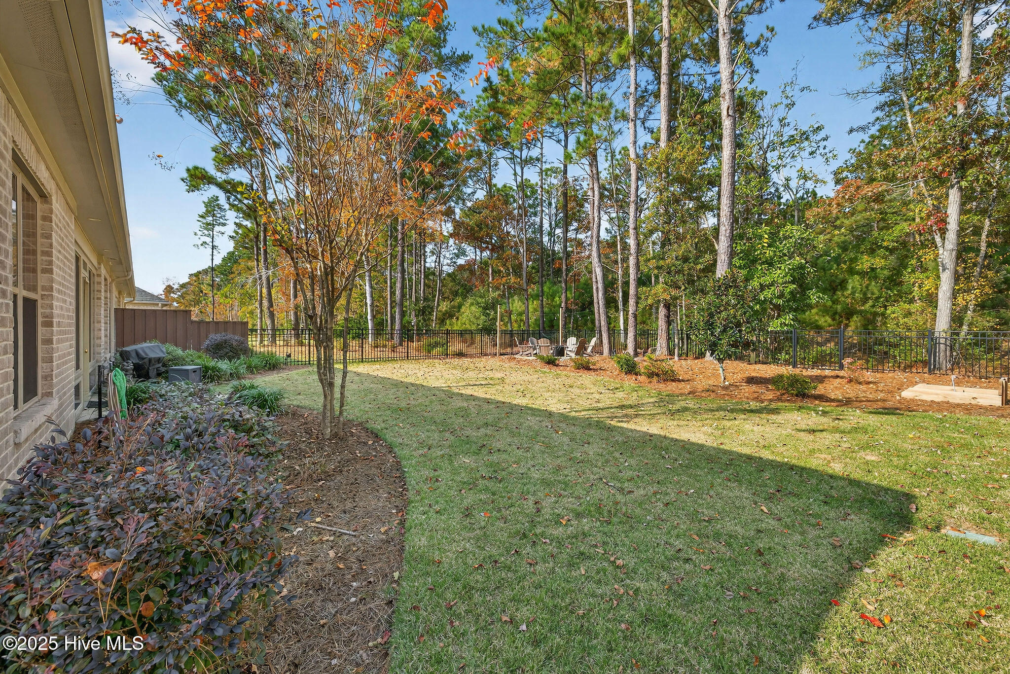 100543133 | Photo 44